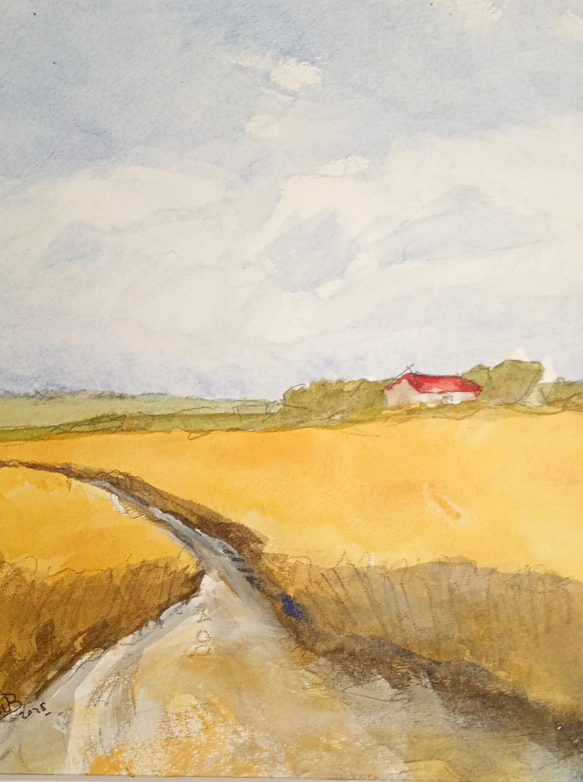 Footpath near Top Farm