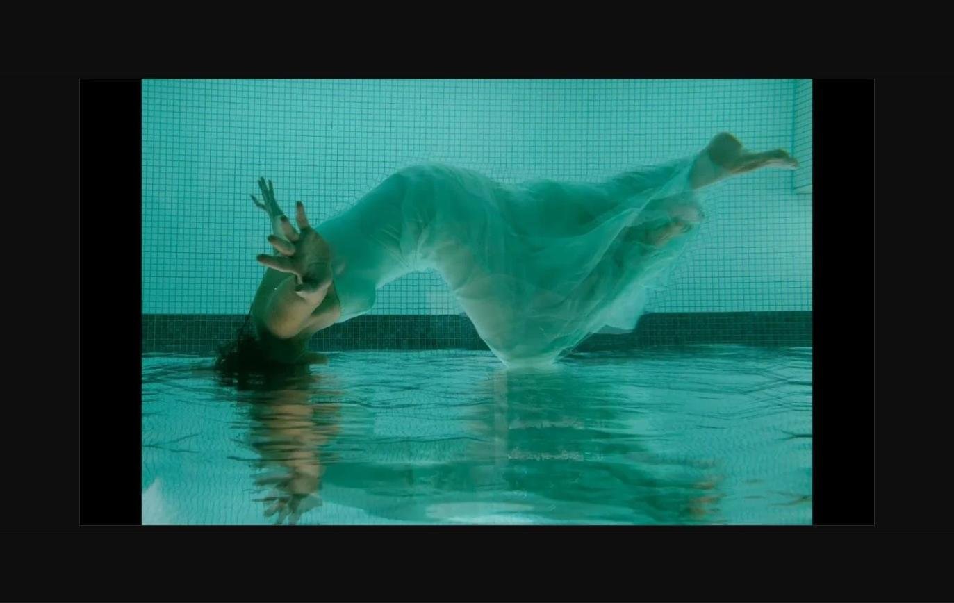 Narcissus (videoart)