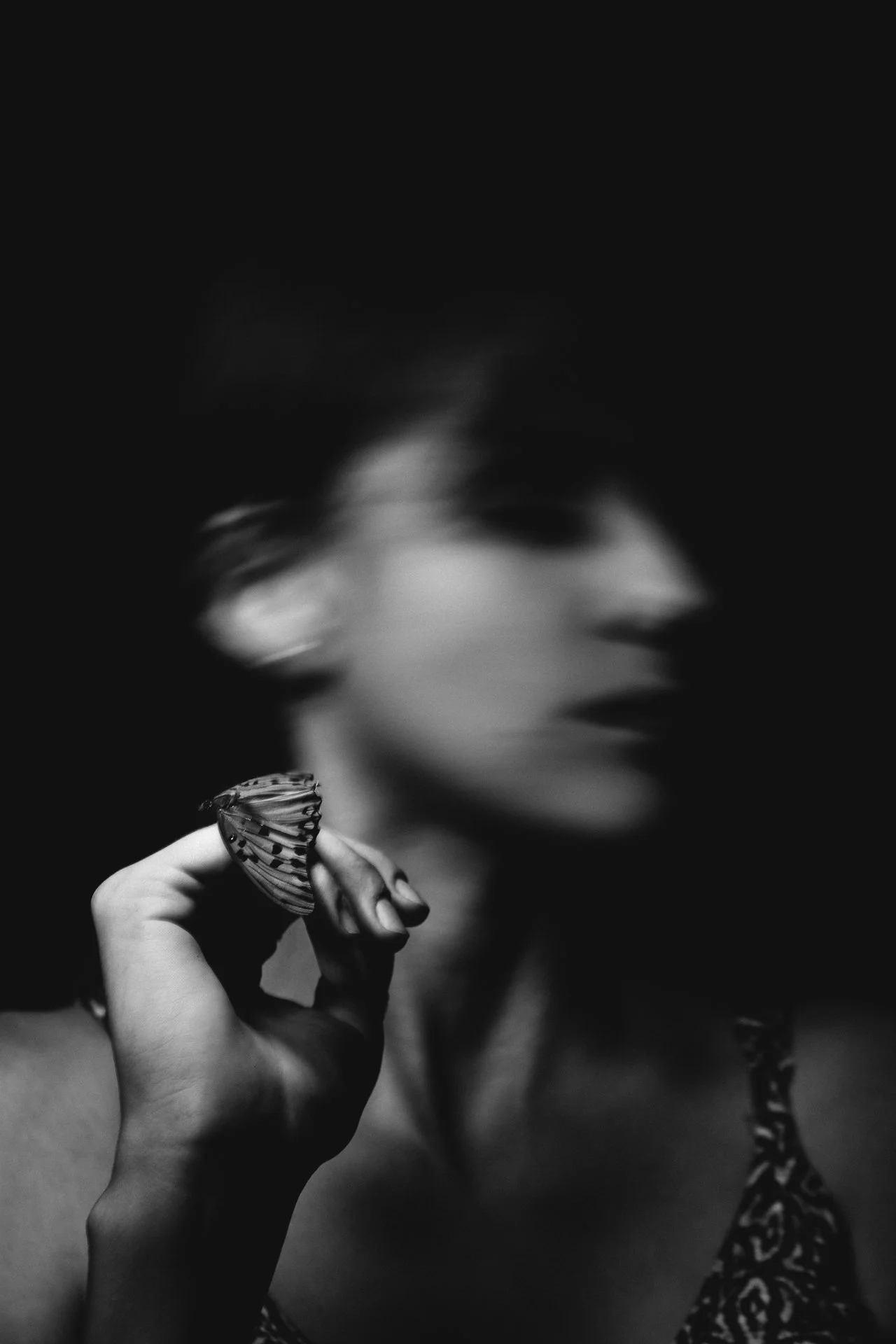 borboleta.jpg