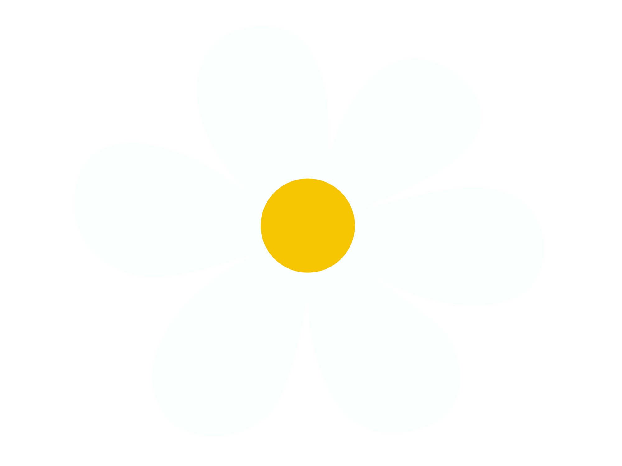 A simple illustration of a white flower with five petals and a yellow center on a black background.