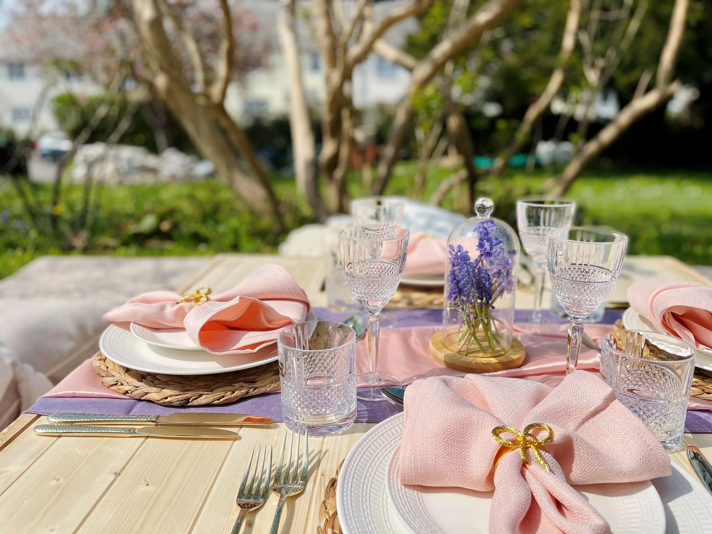 Pink and purple picnic