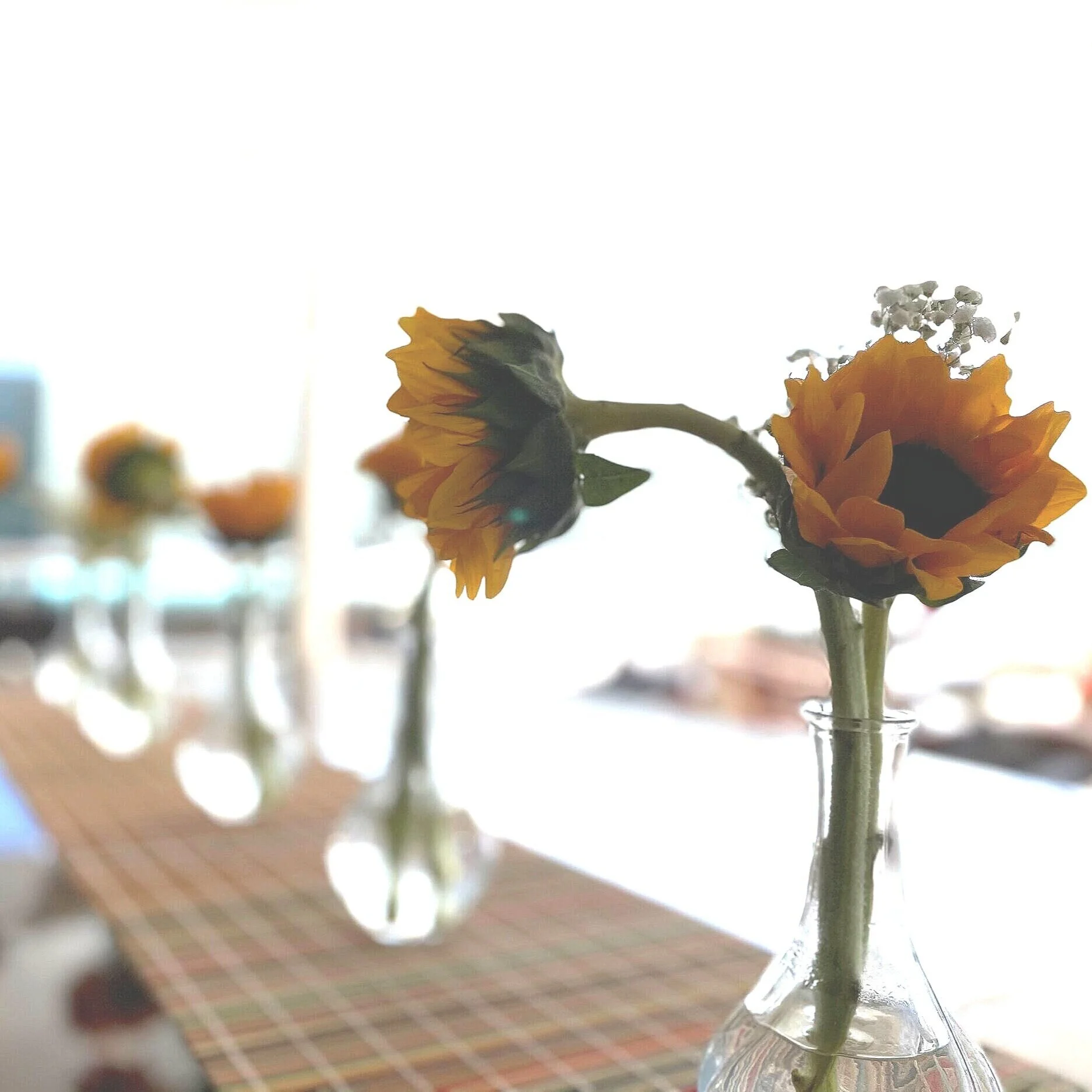 Sunflower table