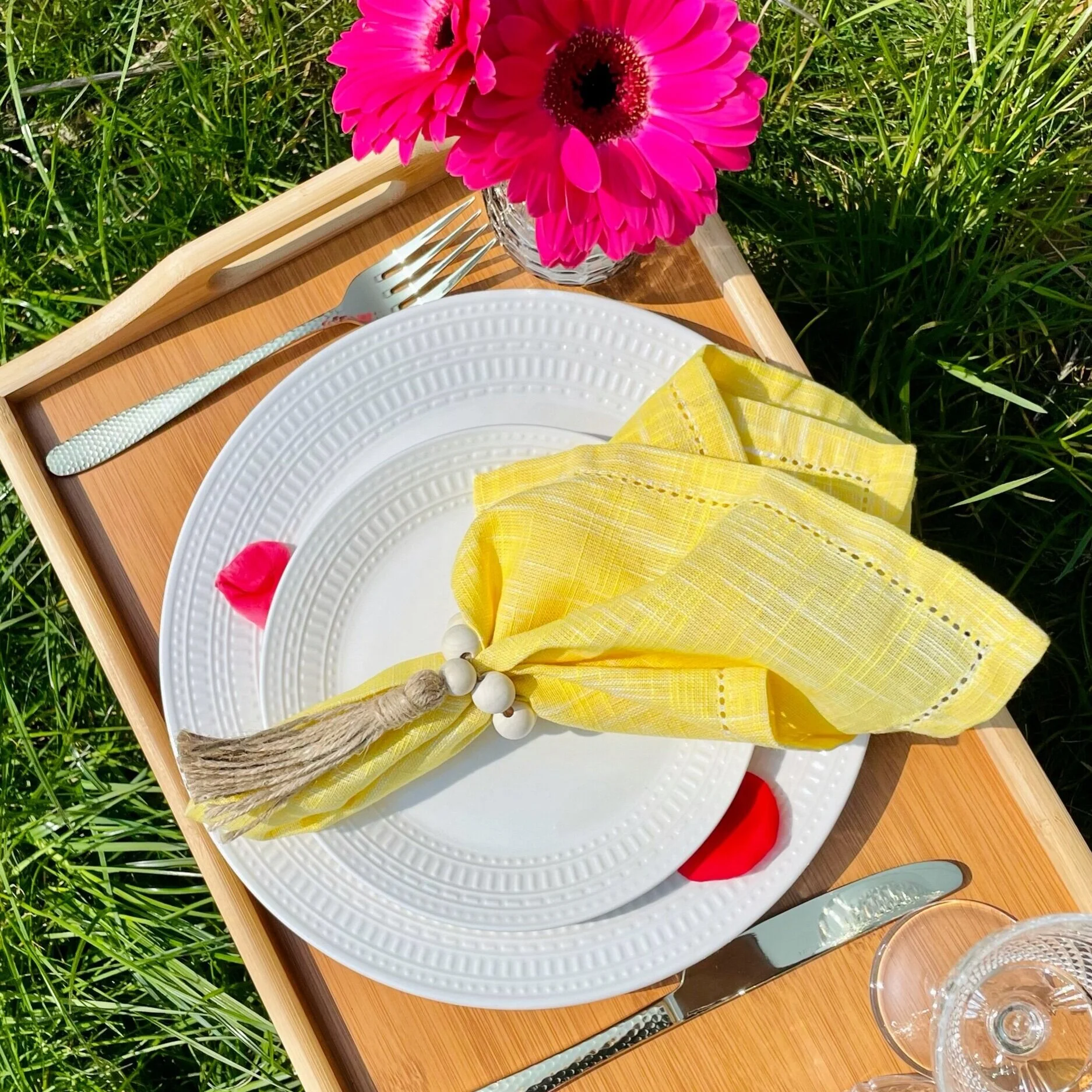 Garden picnic tray