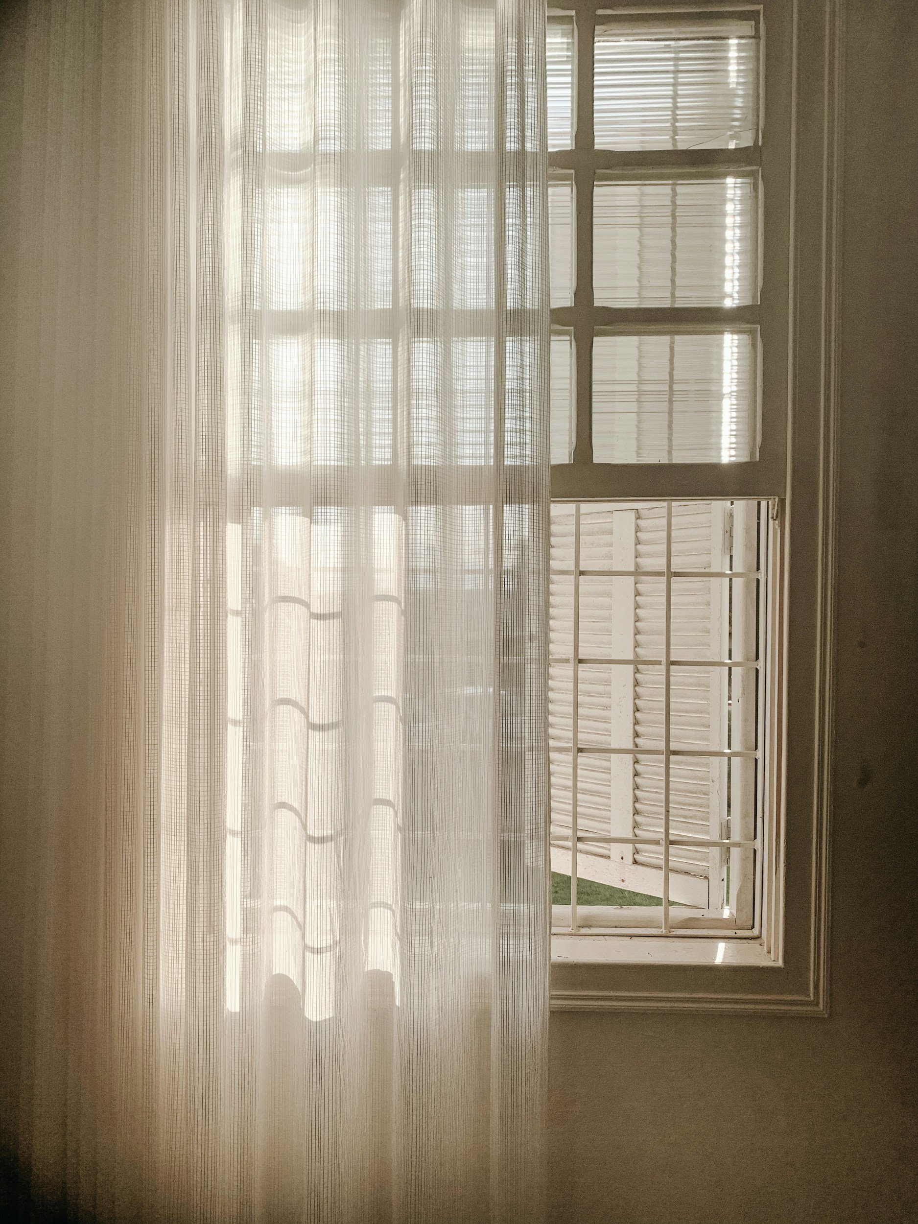 A view from inside a room looking out through a window with a white curtain and white blinds, with a partial view of a white screen door and a wooden fence outside.