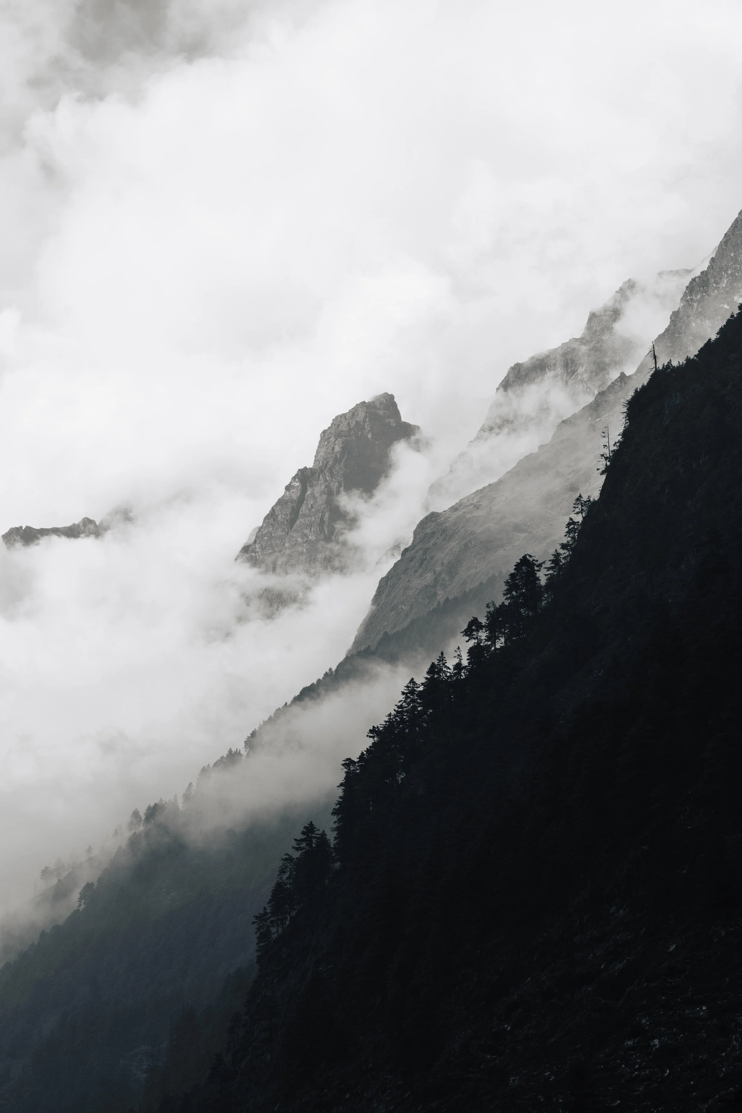 manaslu_lowmb-49.jpg