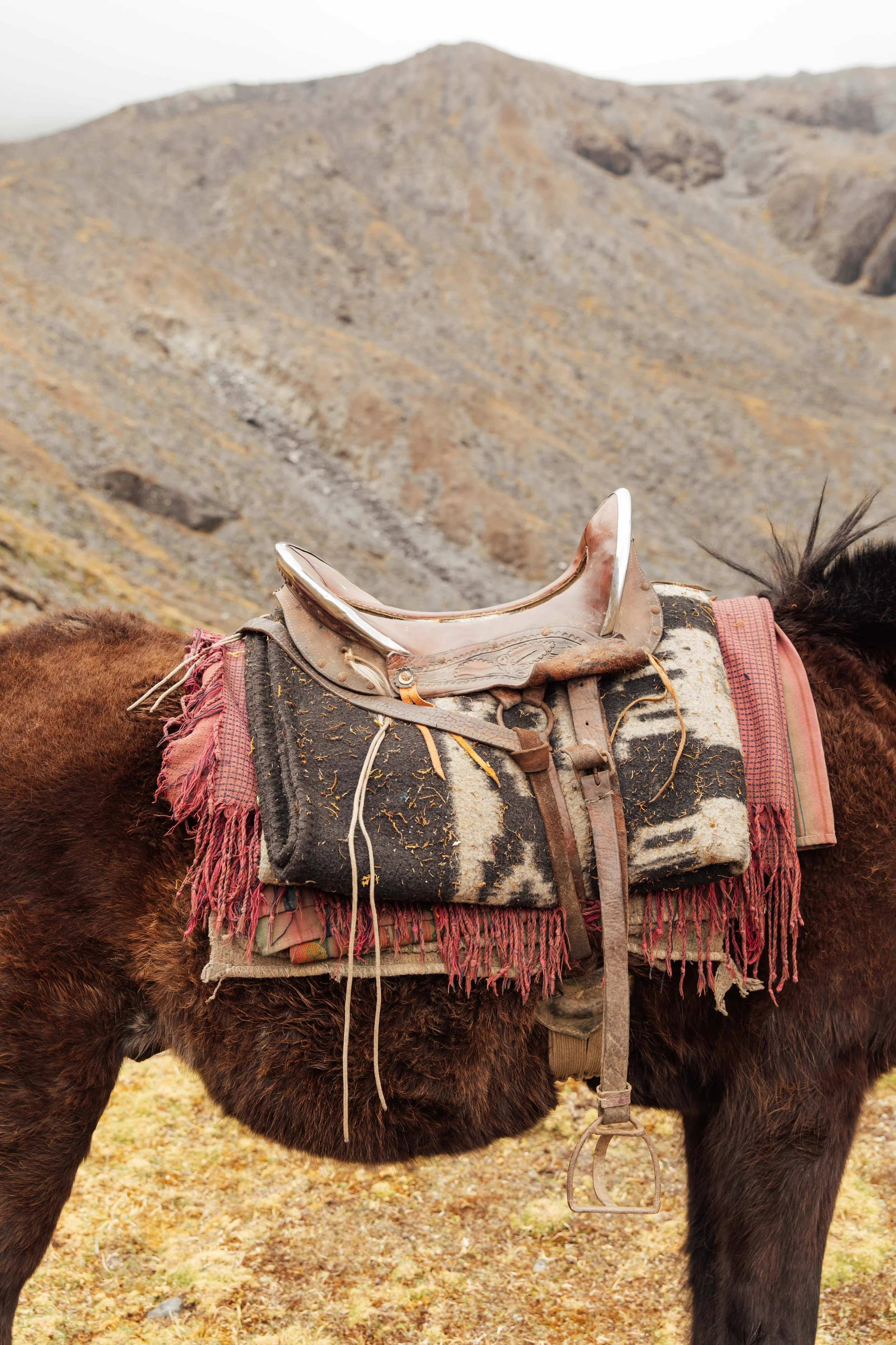 peru_qeros_lowmb-25.jpg