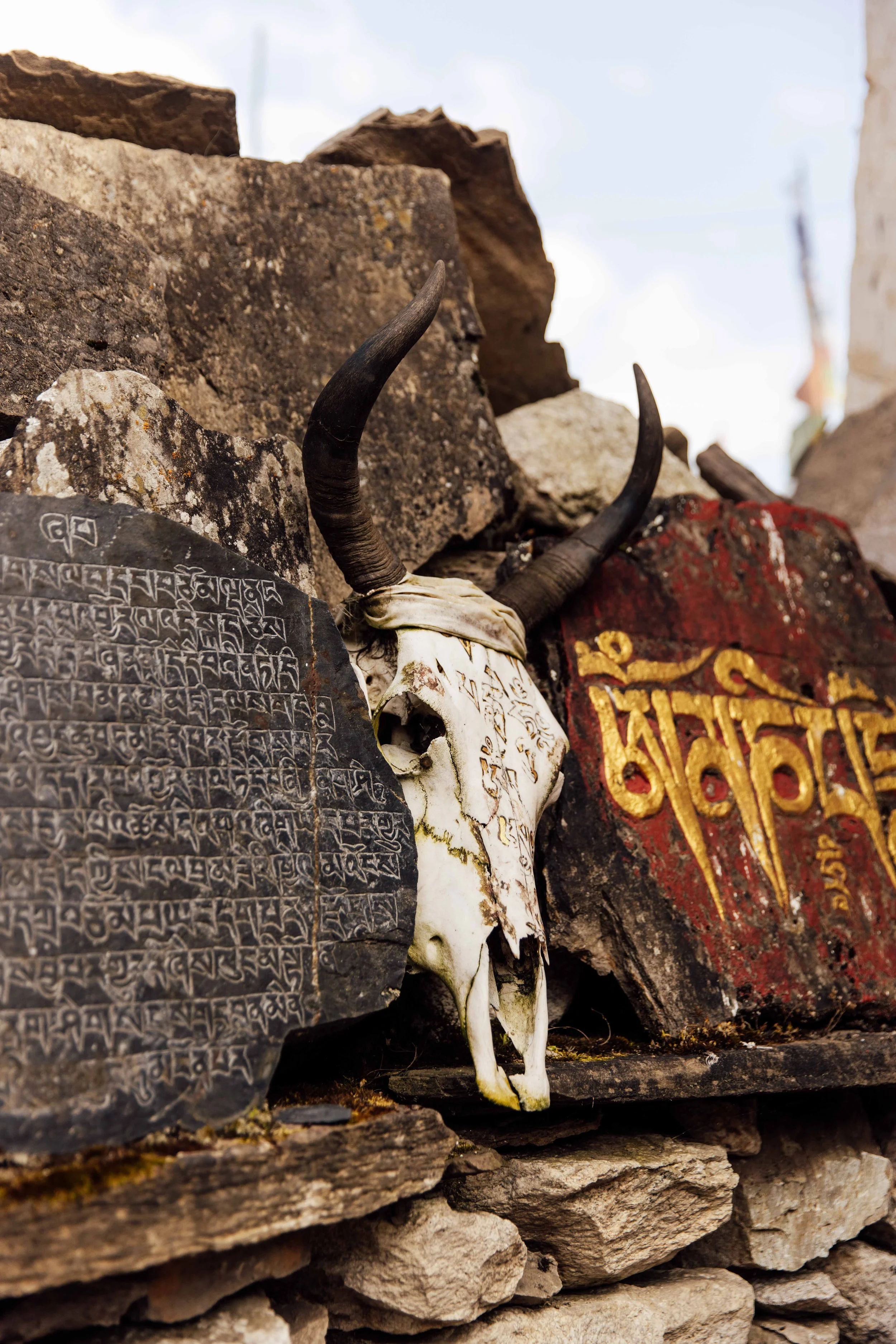 manaslu_lowmb-81.jpg