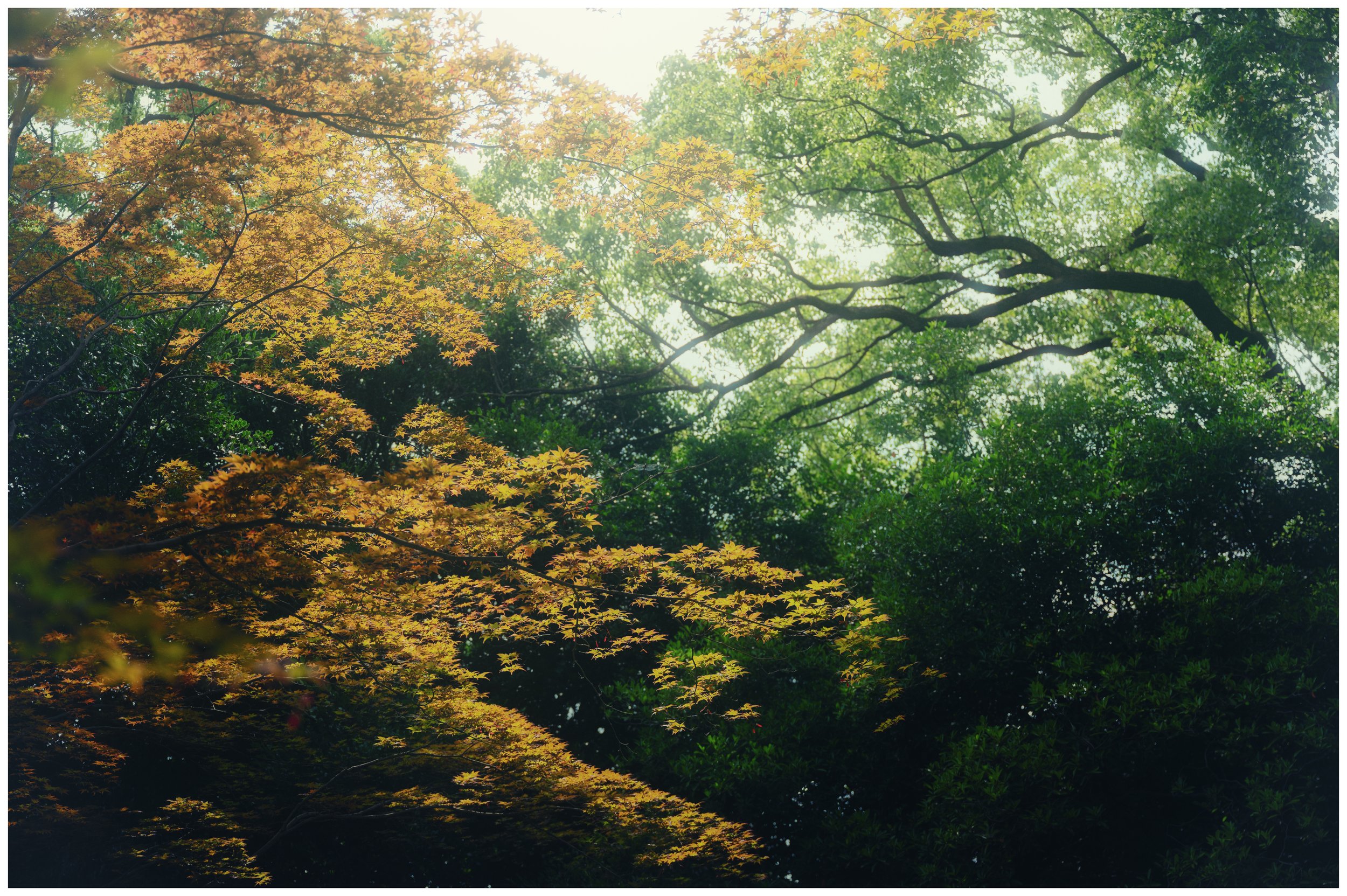 NAV_5246-Edit.jpg