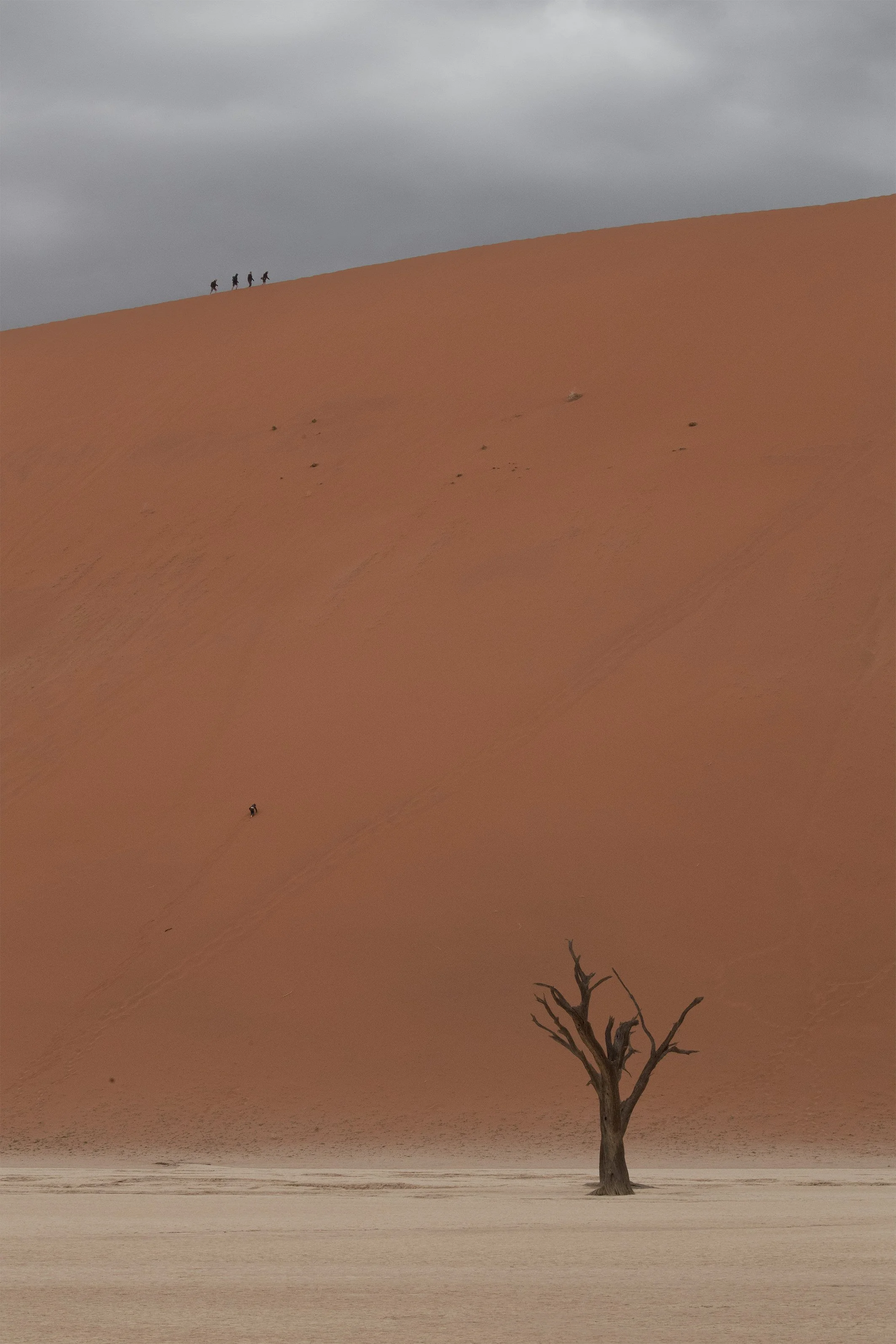 _NAV4586-Edit.jpg
