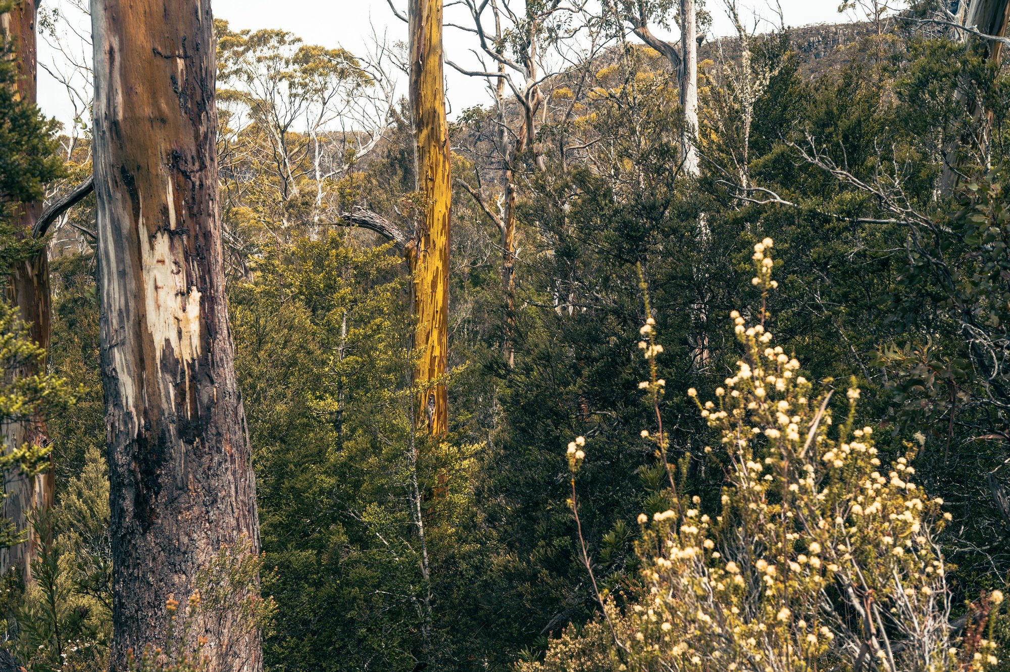 NAV_8653301125.jpg