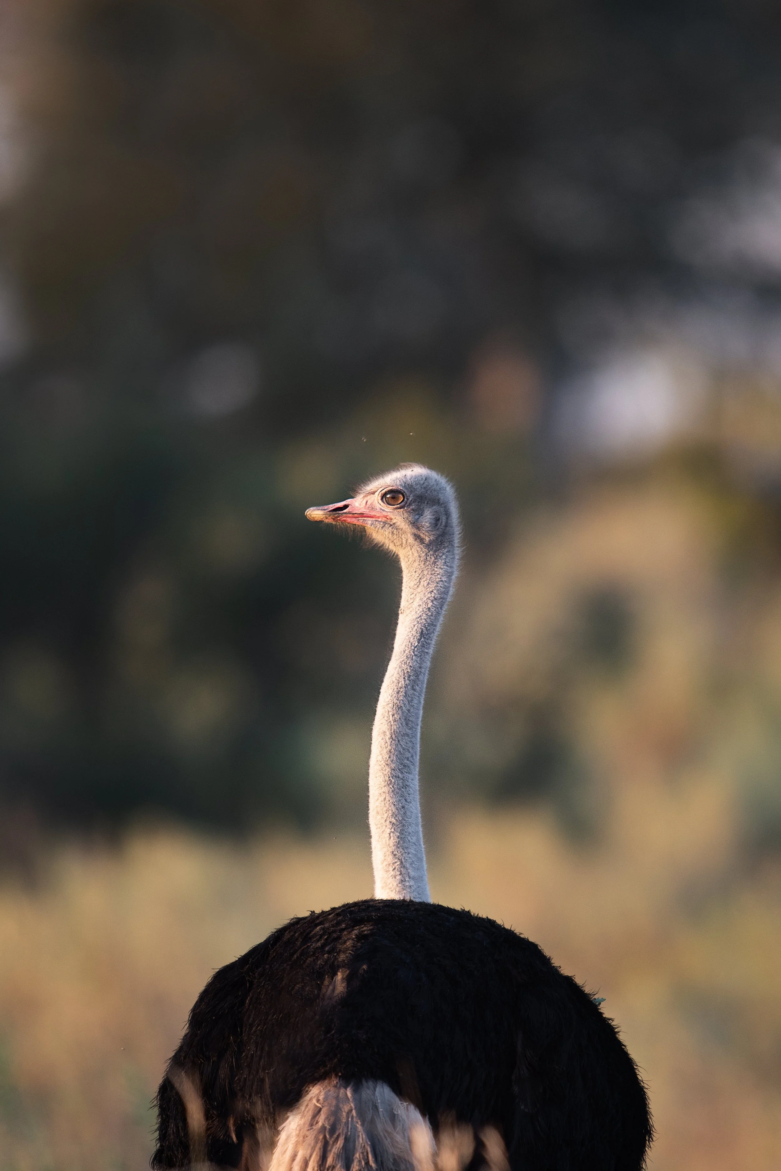 B&N 2018-127-Edit.jpg