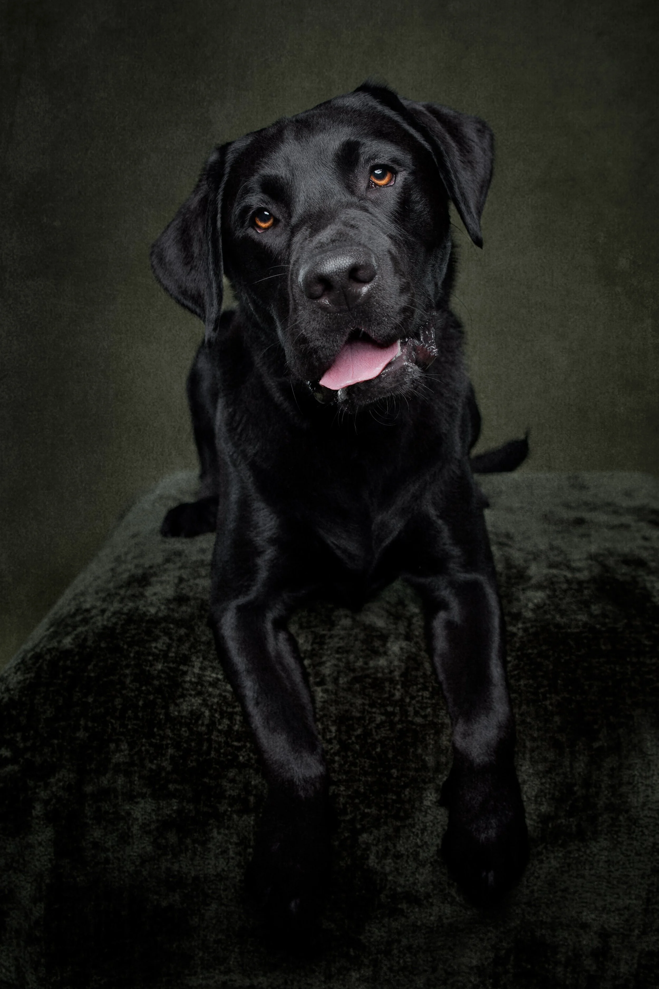 Vader-43-Edit.jpg