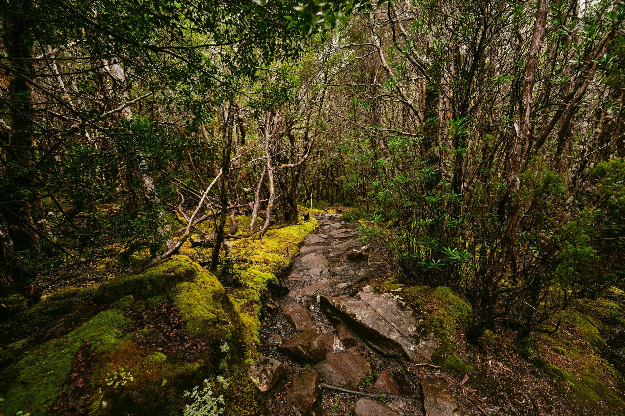 NAV_8542281125.jpg