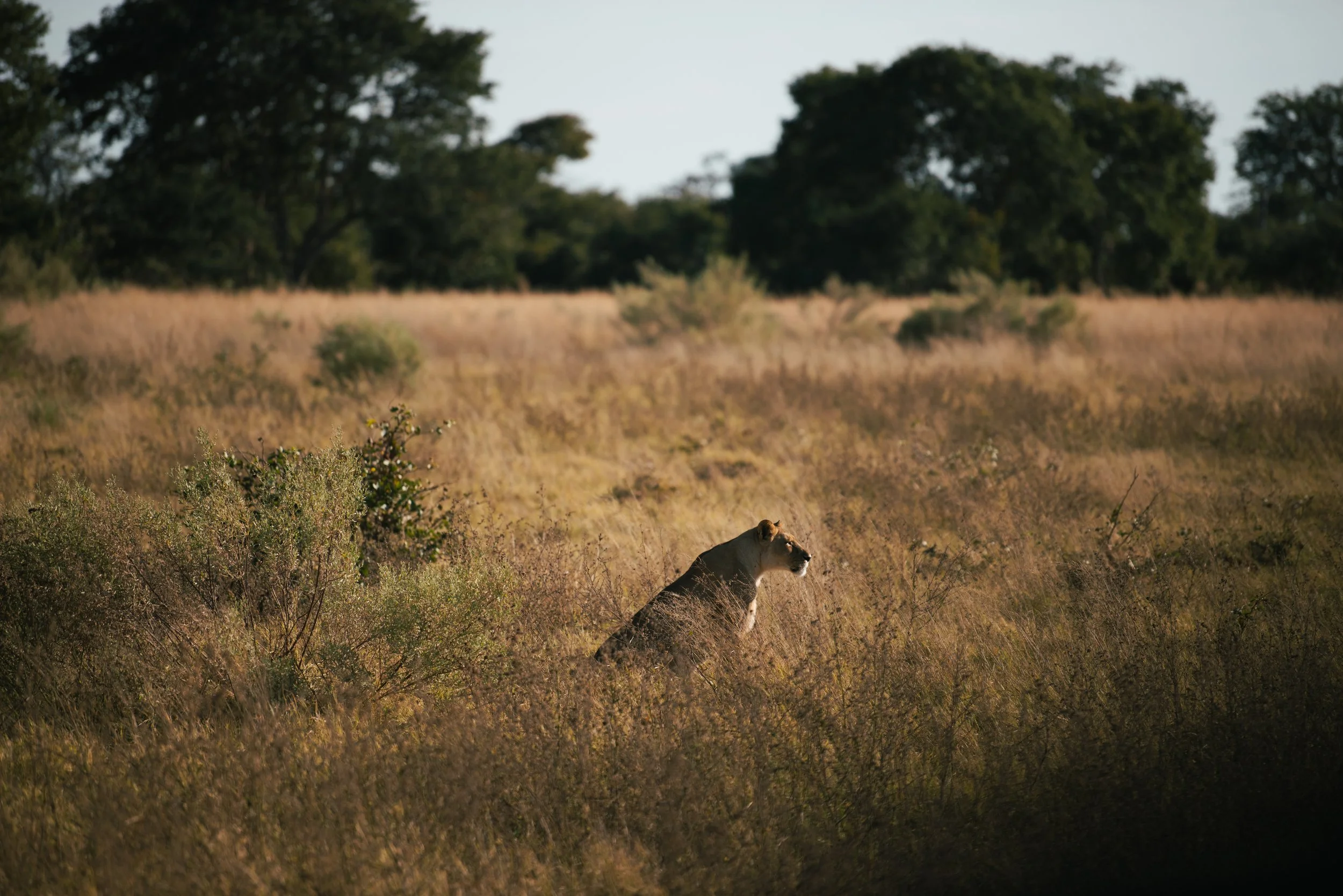 _DSC9960.jpg