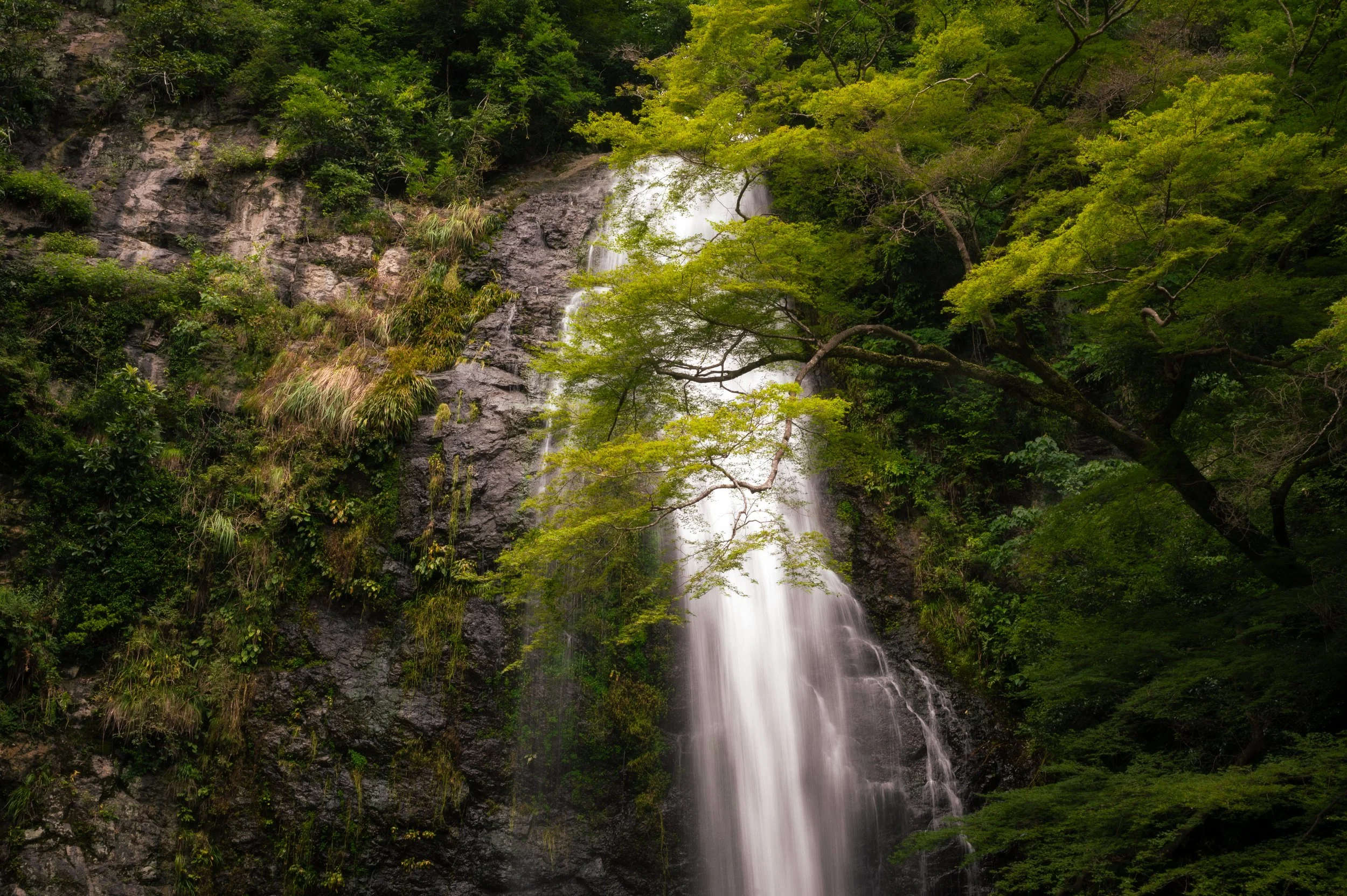 NAV_4340-Edit-Edit-2.jpg