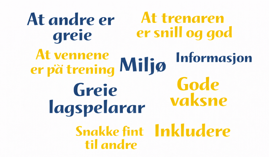 Ordsky med norske ord relatert til trening og helse, inkludert "Miljø", "Greie lagspelarar", "Gode vaksne", "Inkludere", "Snakke fint til andre", "At andre er greie", "At trenaren er snill og god", "At vennene er på trening", og "Informasjon".