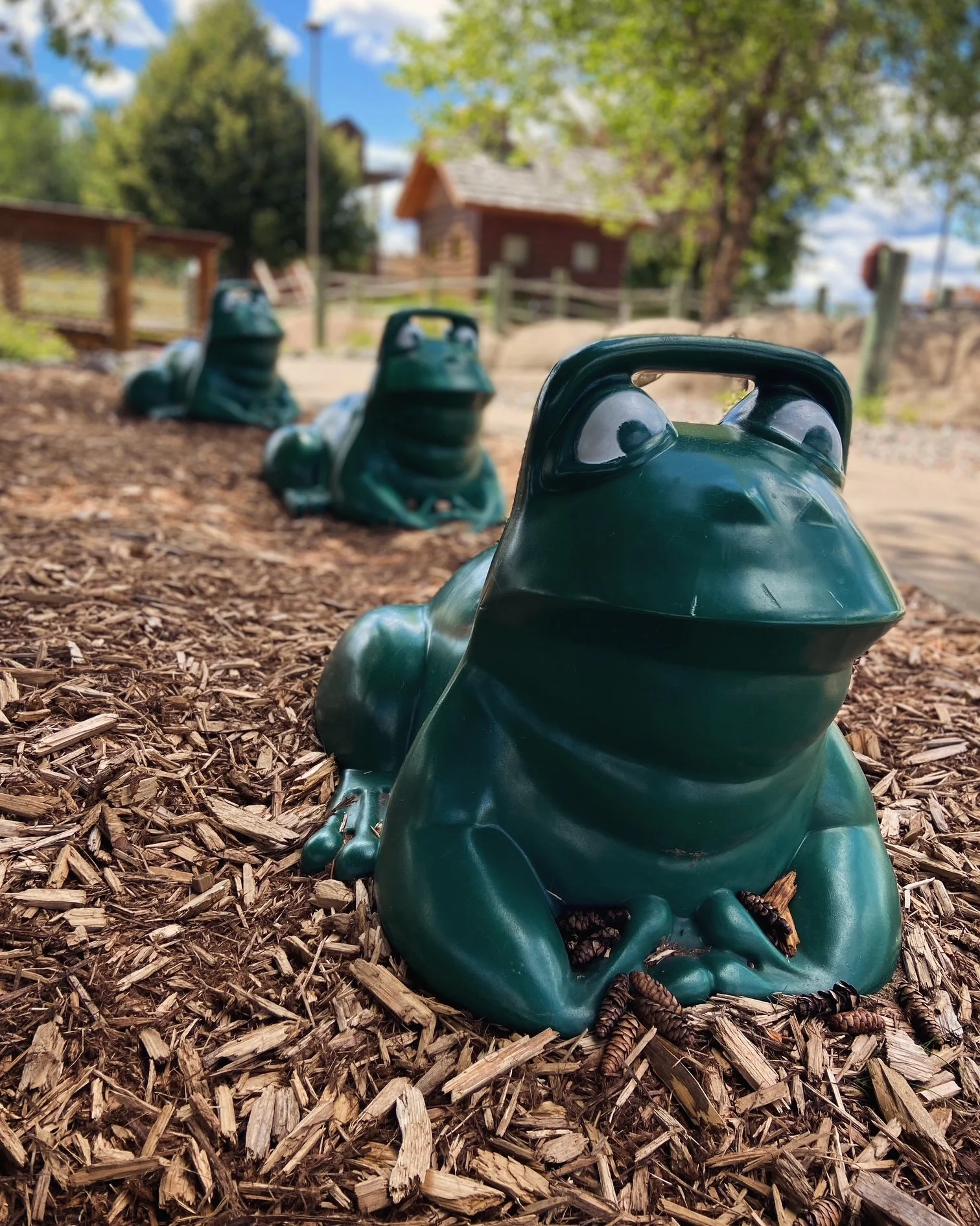 Children's area at Eagle Falls Frogs.JPG