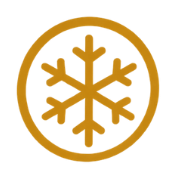 Gold snowflake inside a gold circle
