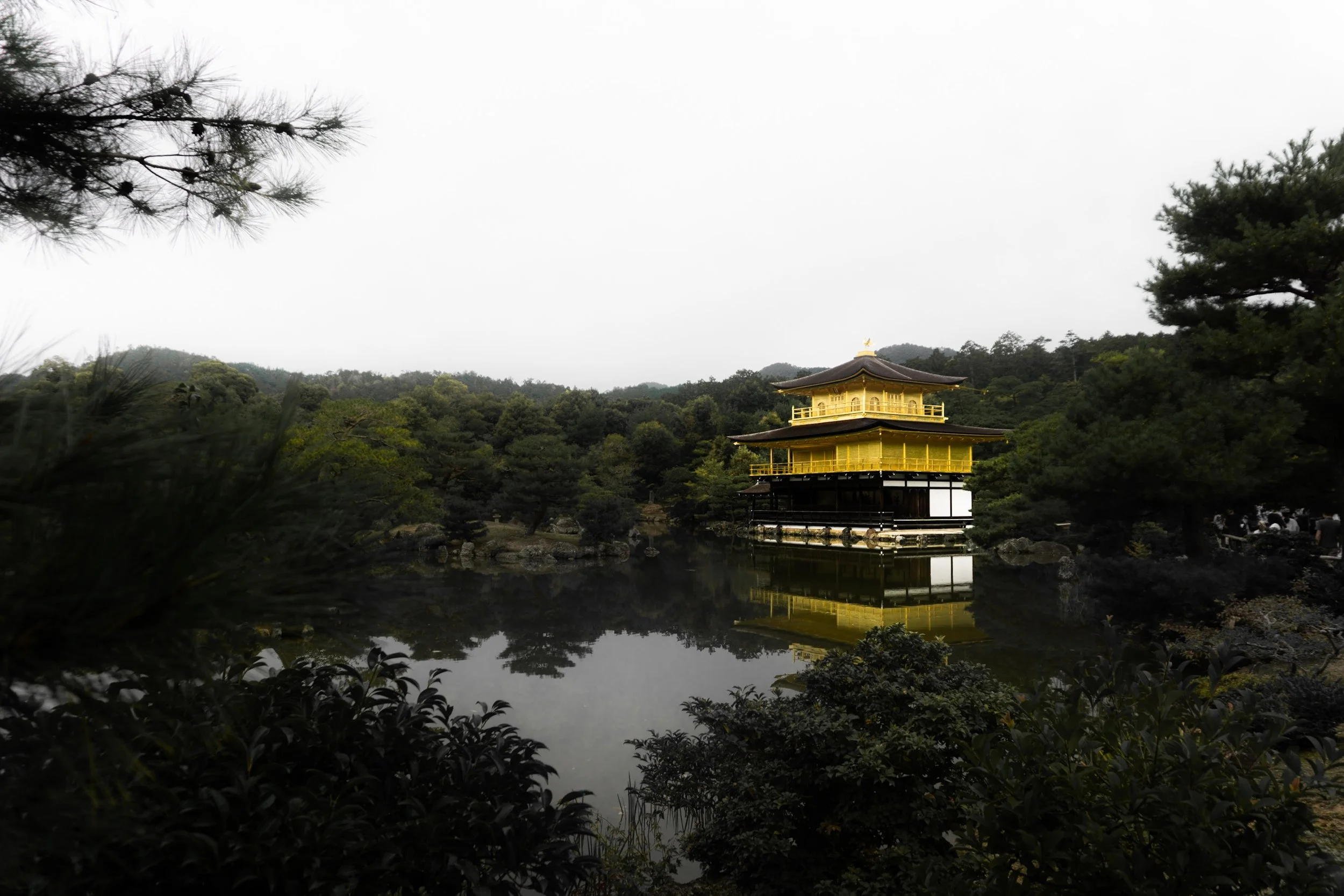 DSC04015.jpeg