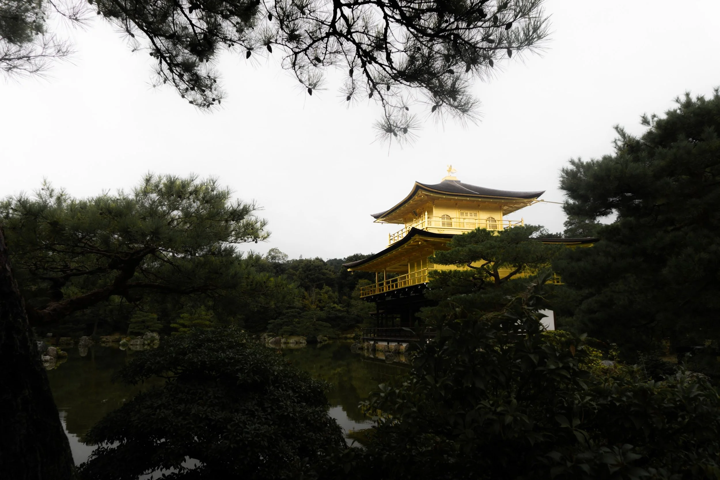 DSC04024.jpeg