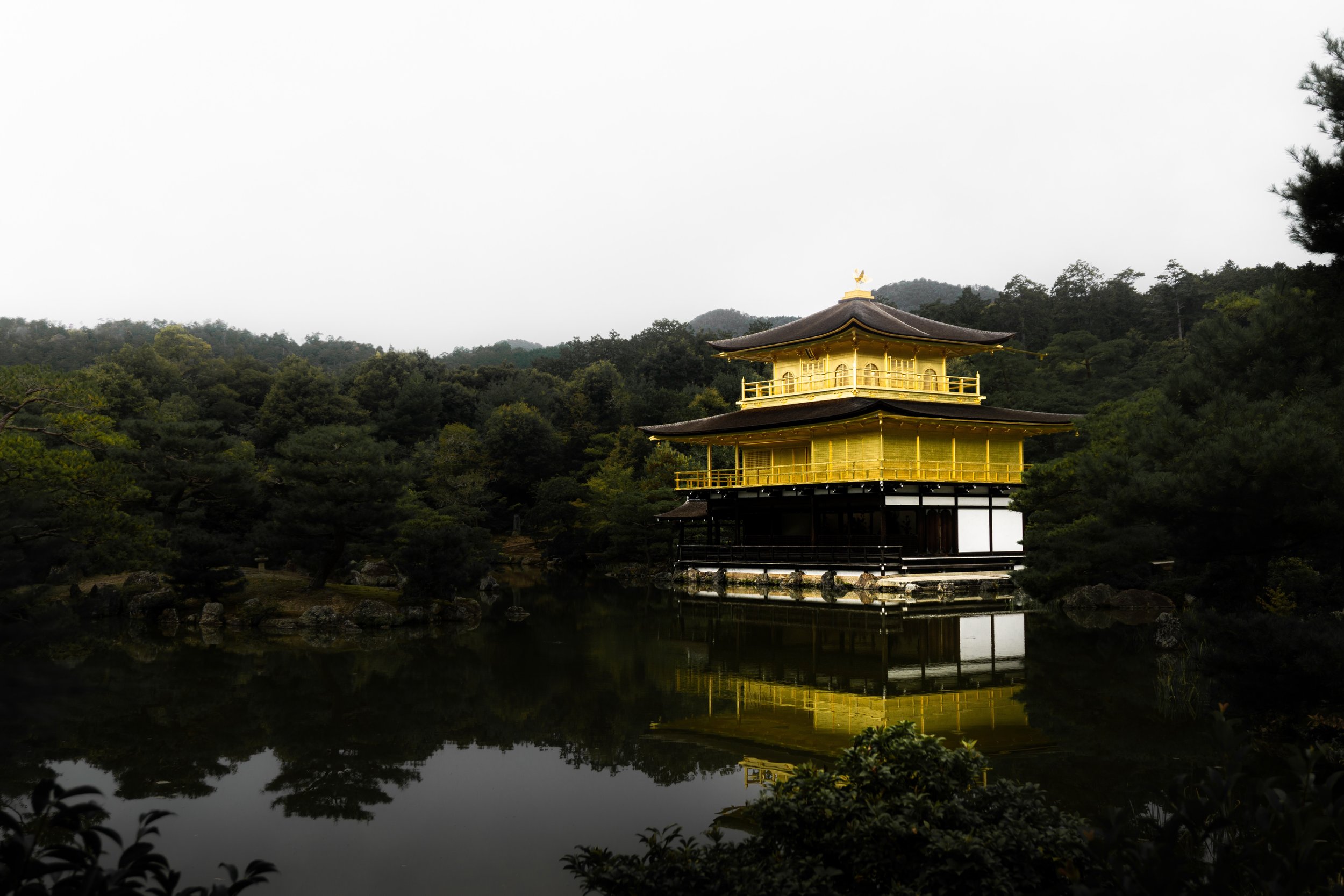 DSC04016.jpeg
