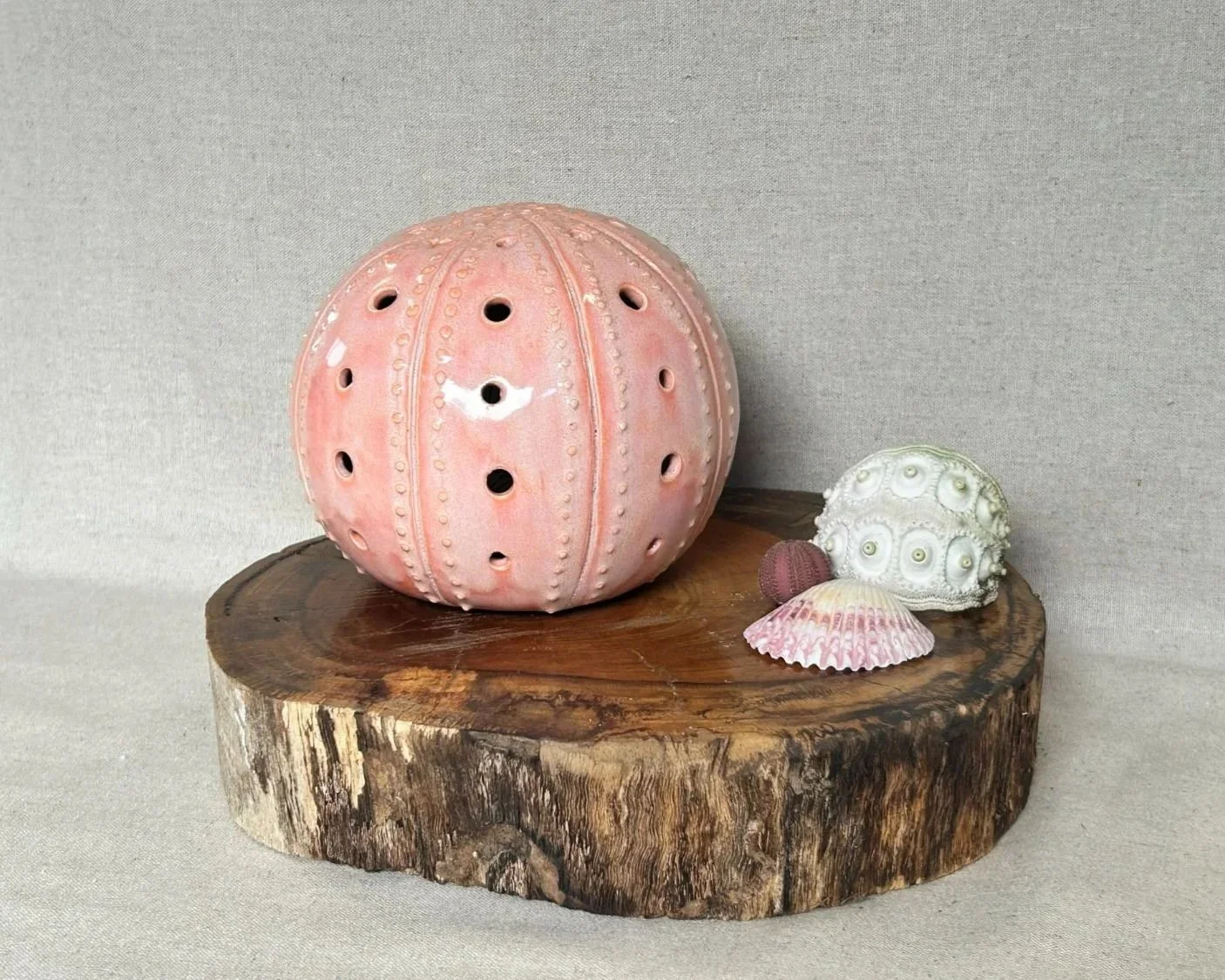 Sea Urchin Blue - Sunset