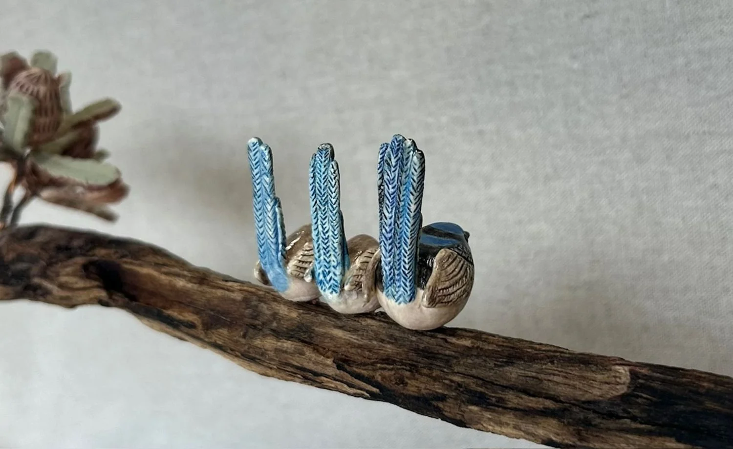 Trio of Blue Wrens