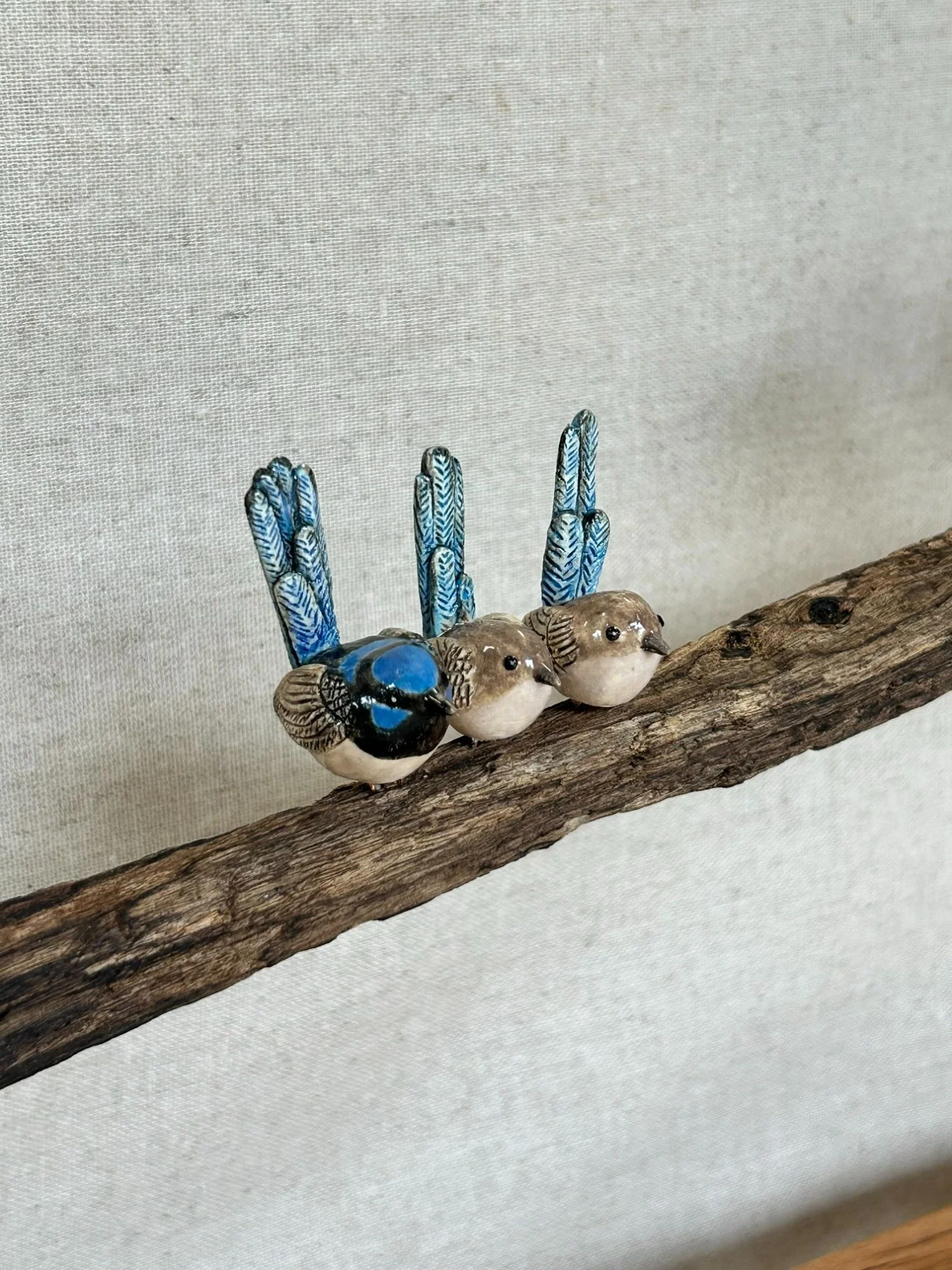 Trio of Blue Wrens