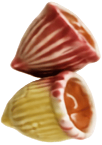 Close-up of a seashell with pink, yellow, and orange hues.