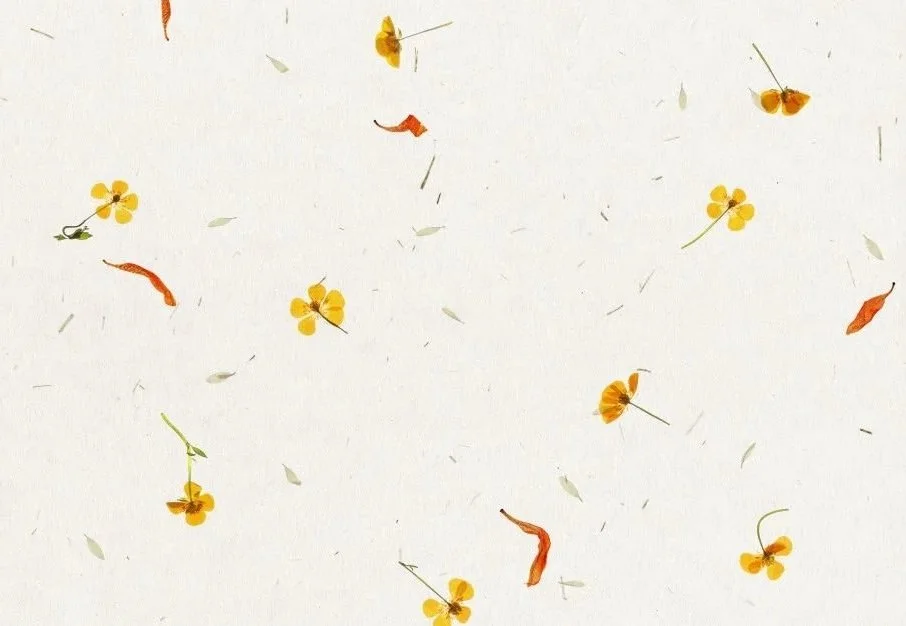 Scattered yellow flower petals and small red leaves on a white background.
