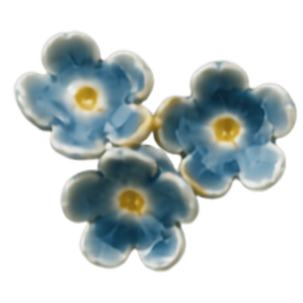 Three blue and white flowers with yellow centers.