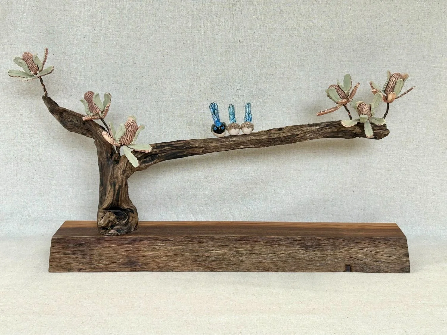 Blue Wrens and Banksia