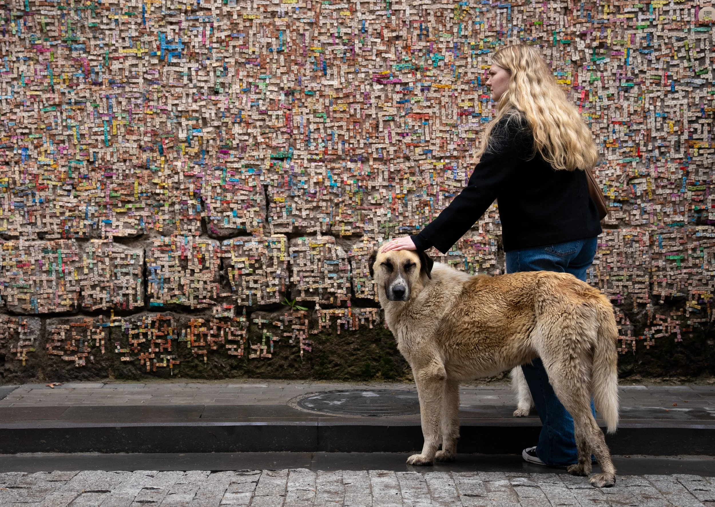 A person with long blonde hair, wearing a black jacket and blue jeans, petting a large dog on a city street with a brick wall covered in colorful chalk drawings in the background.