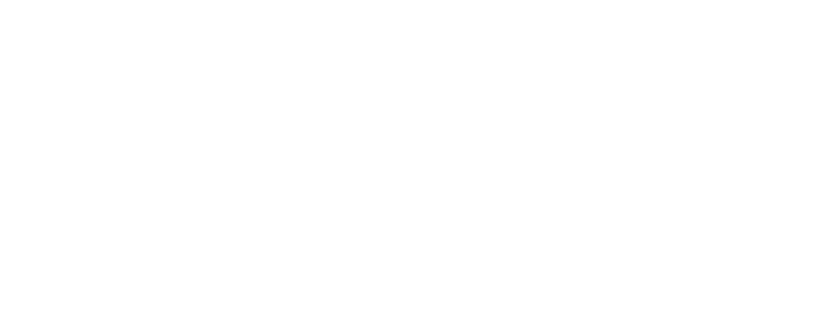 Virgina Museum of Art logo