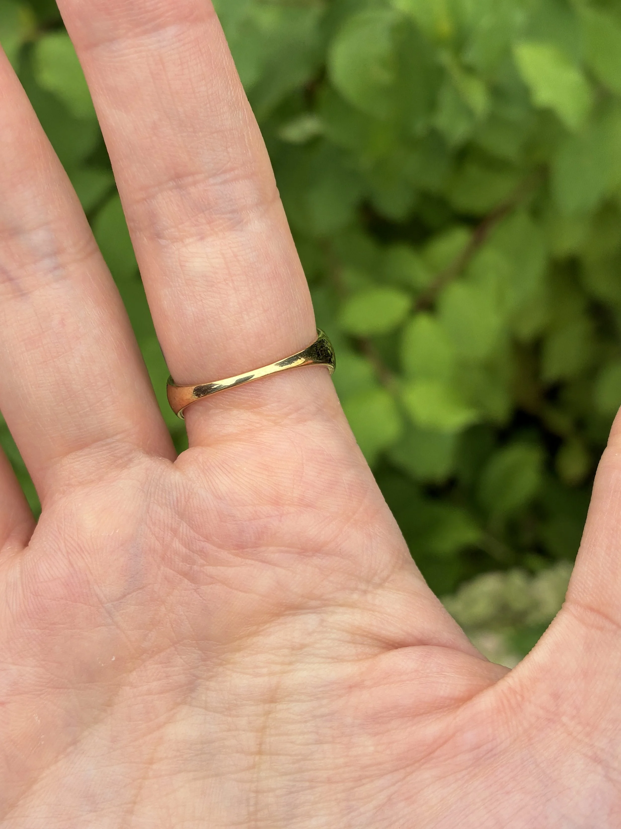 Multicolour diamond ring back of band