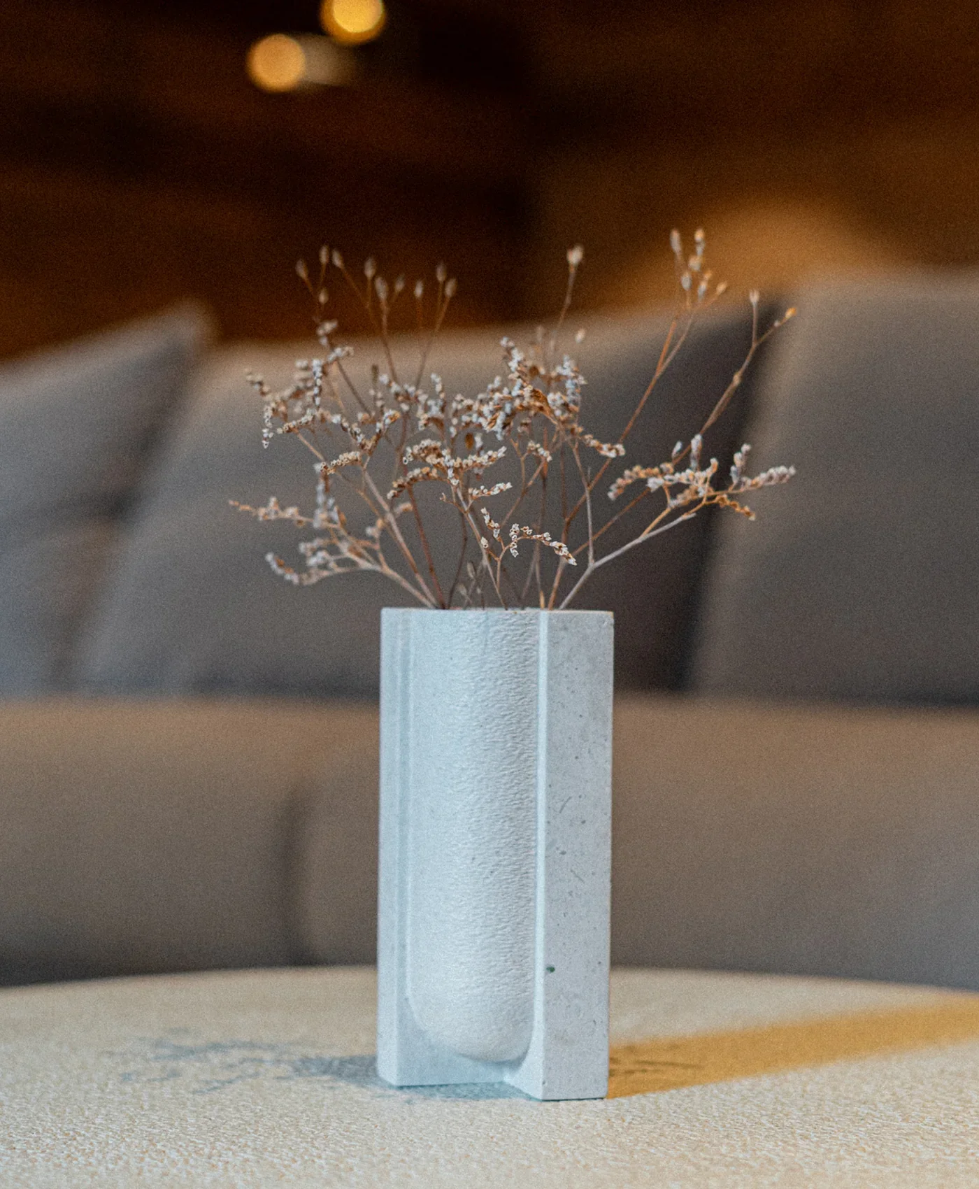Une petite plante sèche dans un vase blanc rectangulaire placé sur une surface beige. En arrière-plan, on distingue un canapé gris avec des coussins, et les lumières sont floues.