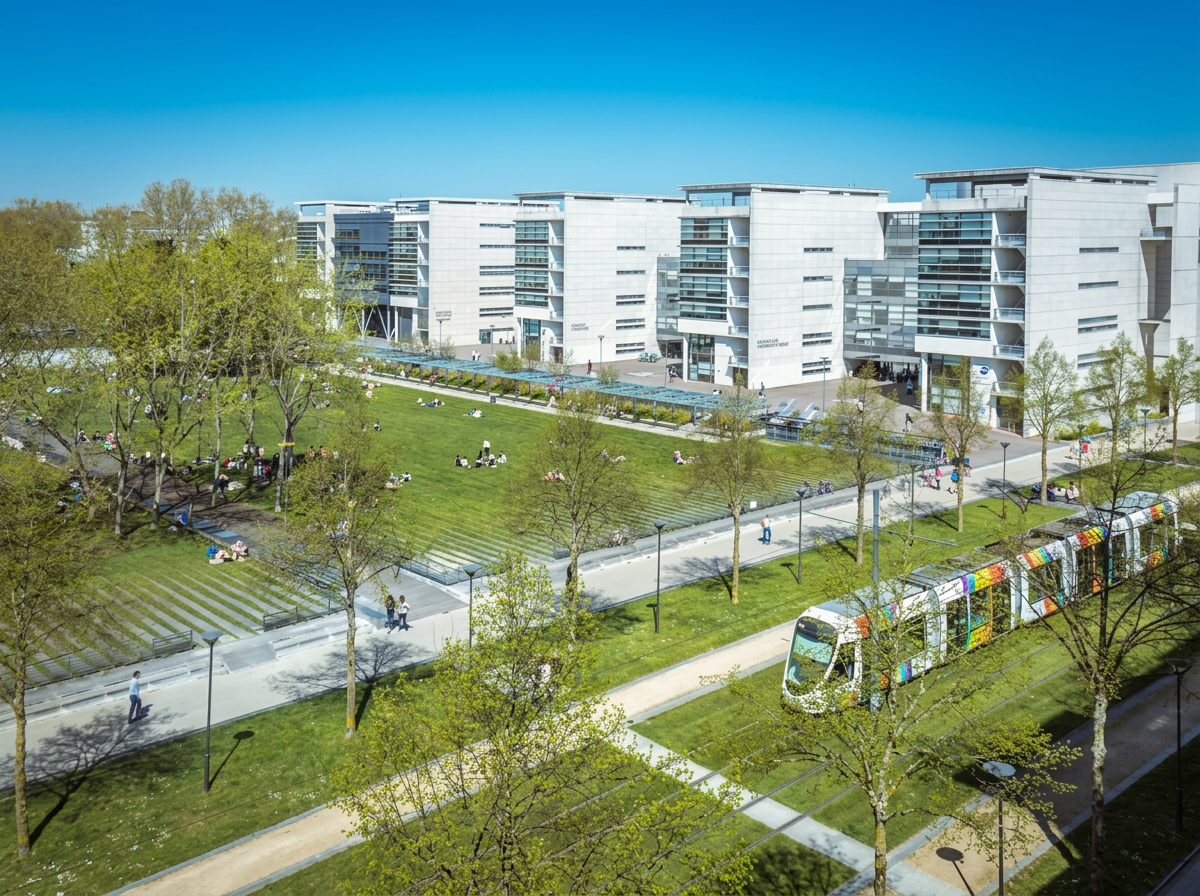 Vue aérienne d'un espace vert urbain avec des arbres, des cheminements piétons, un tramway coloré, des bâtiments modernes en arrière-plan, et des personnes assises ou marchant dans le parc par une journée ensoleillée.