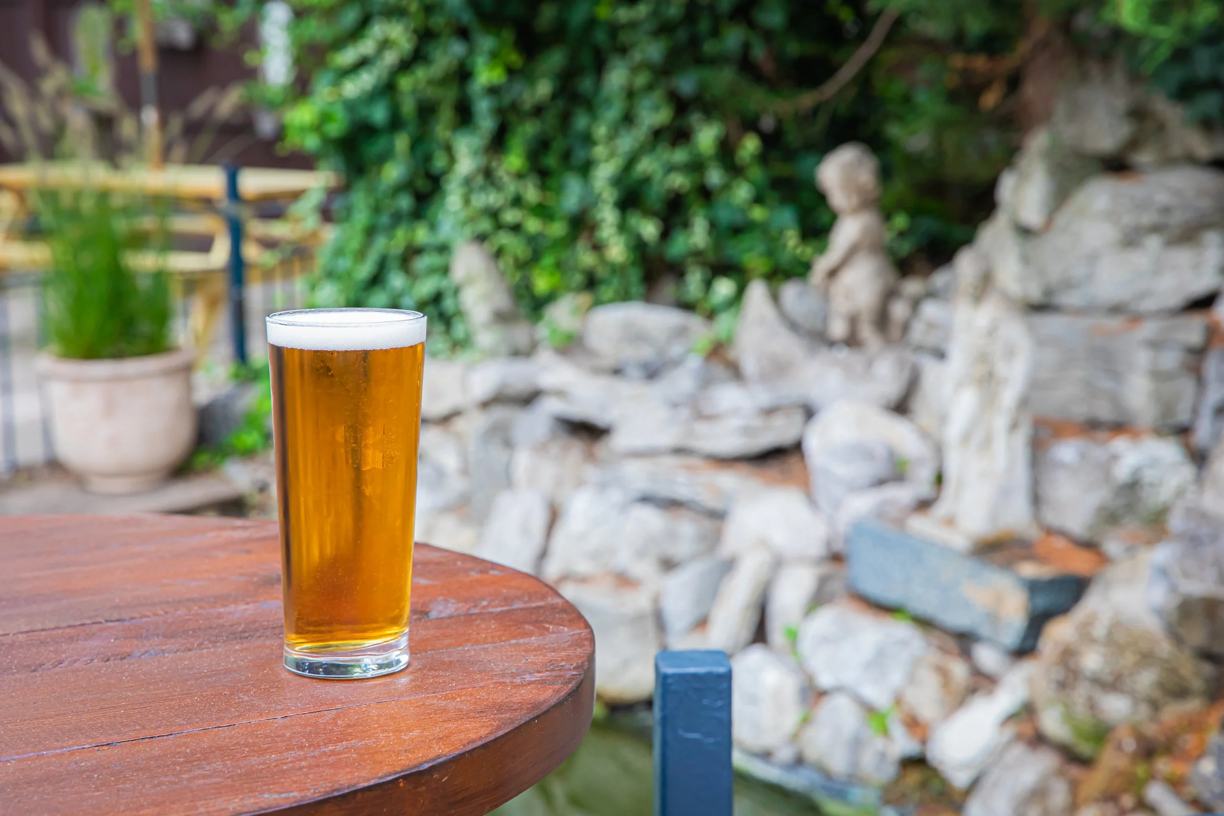 Hand and Flower garden Shots with pint.jpg
