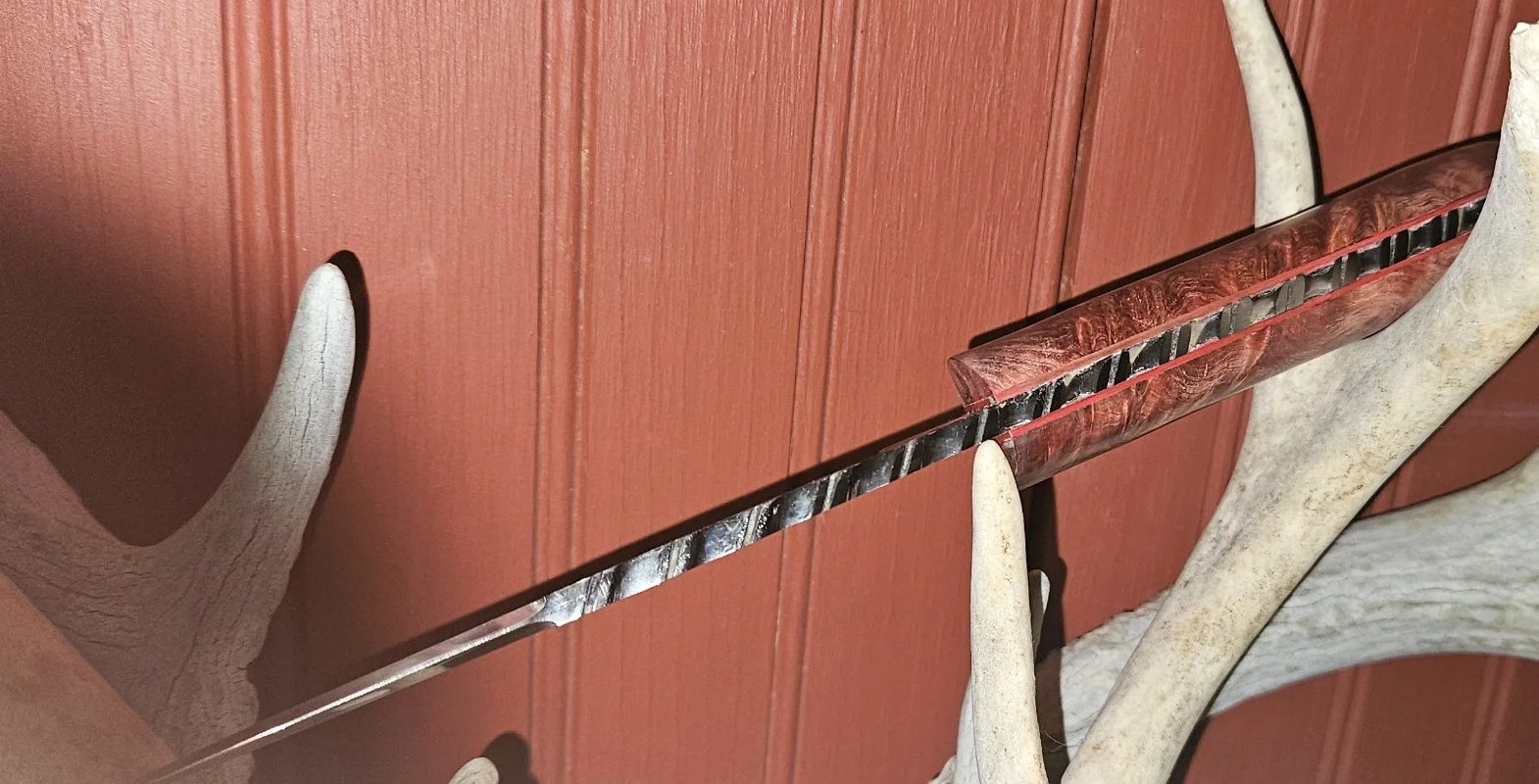 Spine view of a B.A. Dodson presentation wood fixed blade highlighting decorative filework, red liners, and figured wood handle.