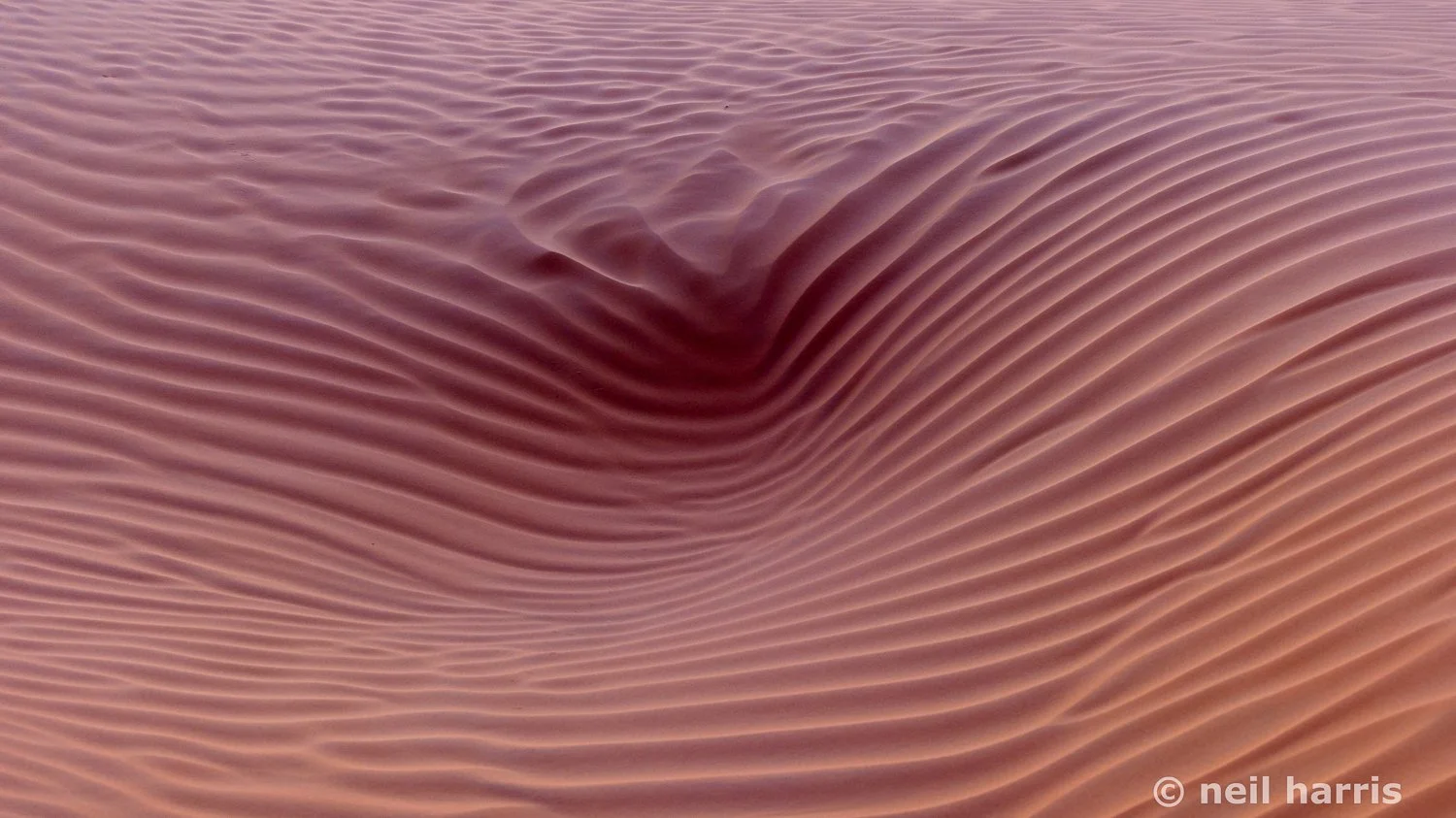 Dunes, Sahara Desert, Tunisia-4.jpg