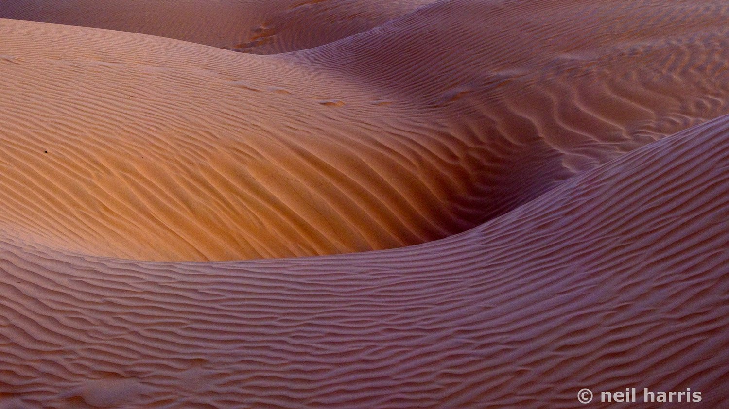 Dunes, Sahara Desert, Tunisia-3.jpg