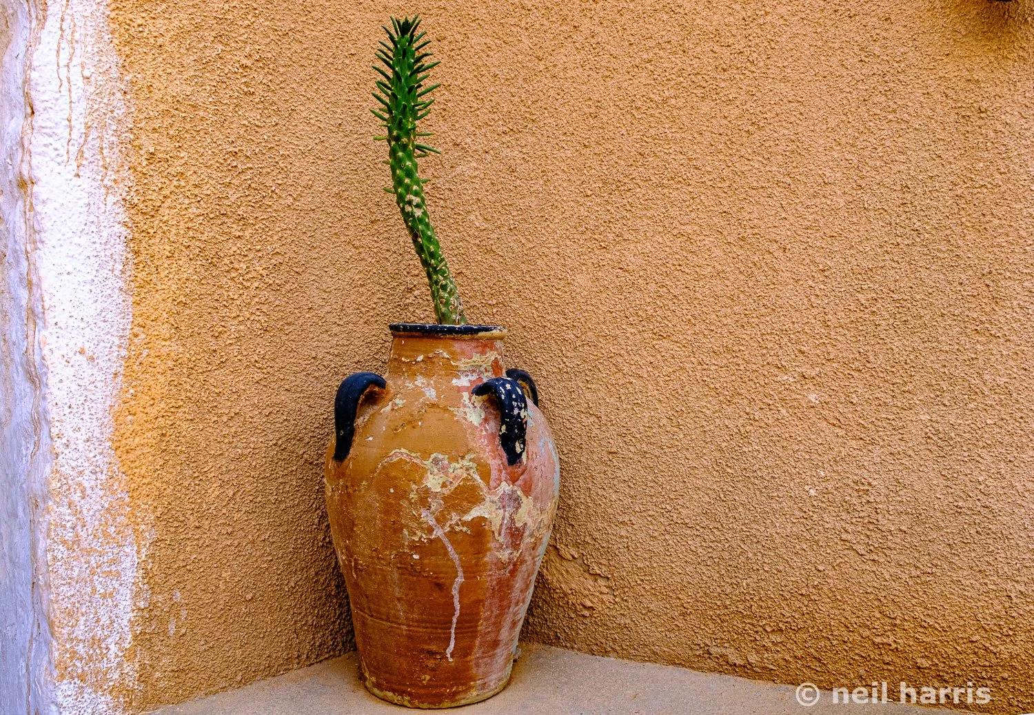Vase, Matmata, Tunisia