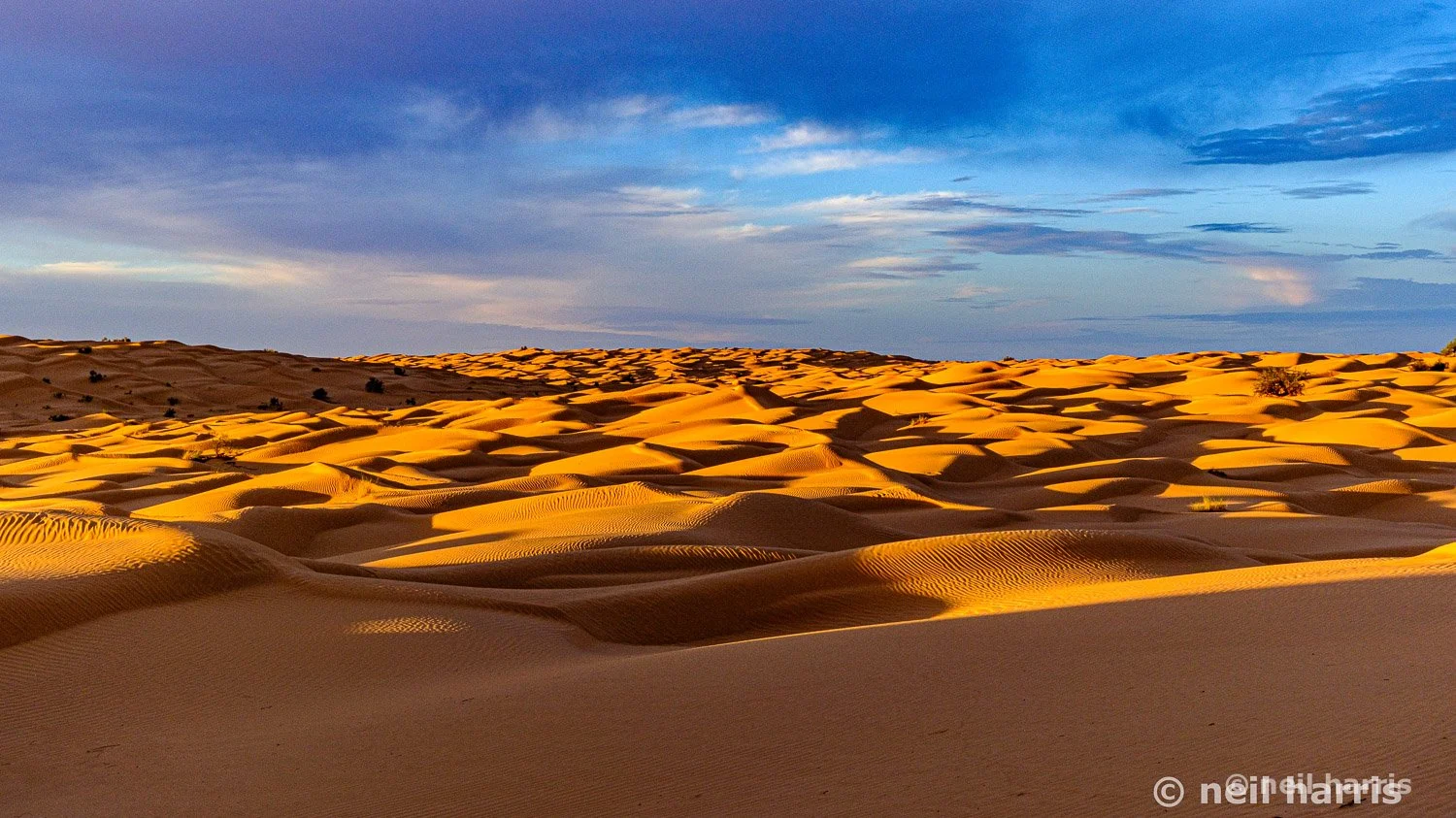 Dunes, Sahara Desert, Tunisia.jpg