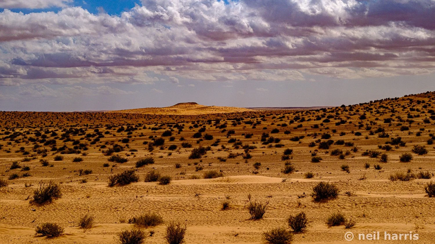 Sahara Desert,  Douz, Tunisia