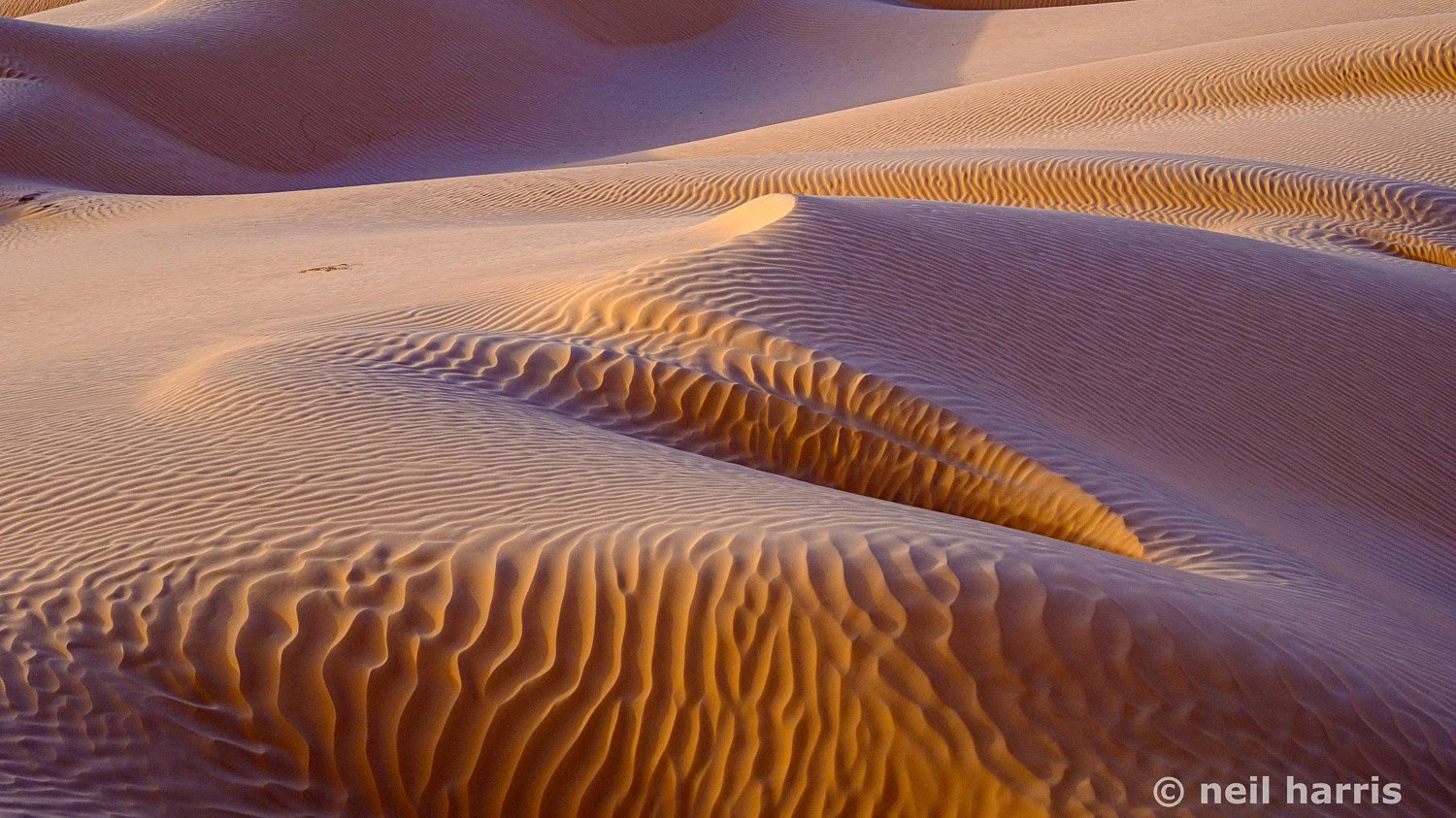 Dunes, Sahara Desert, Tunisia-2.jpg