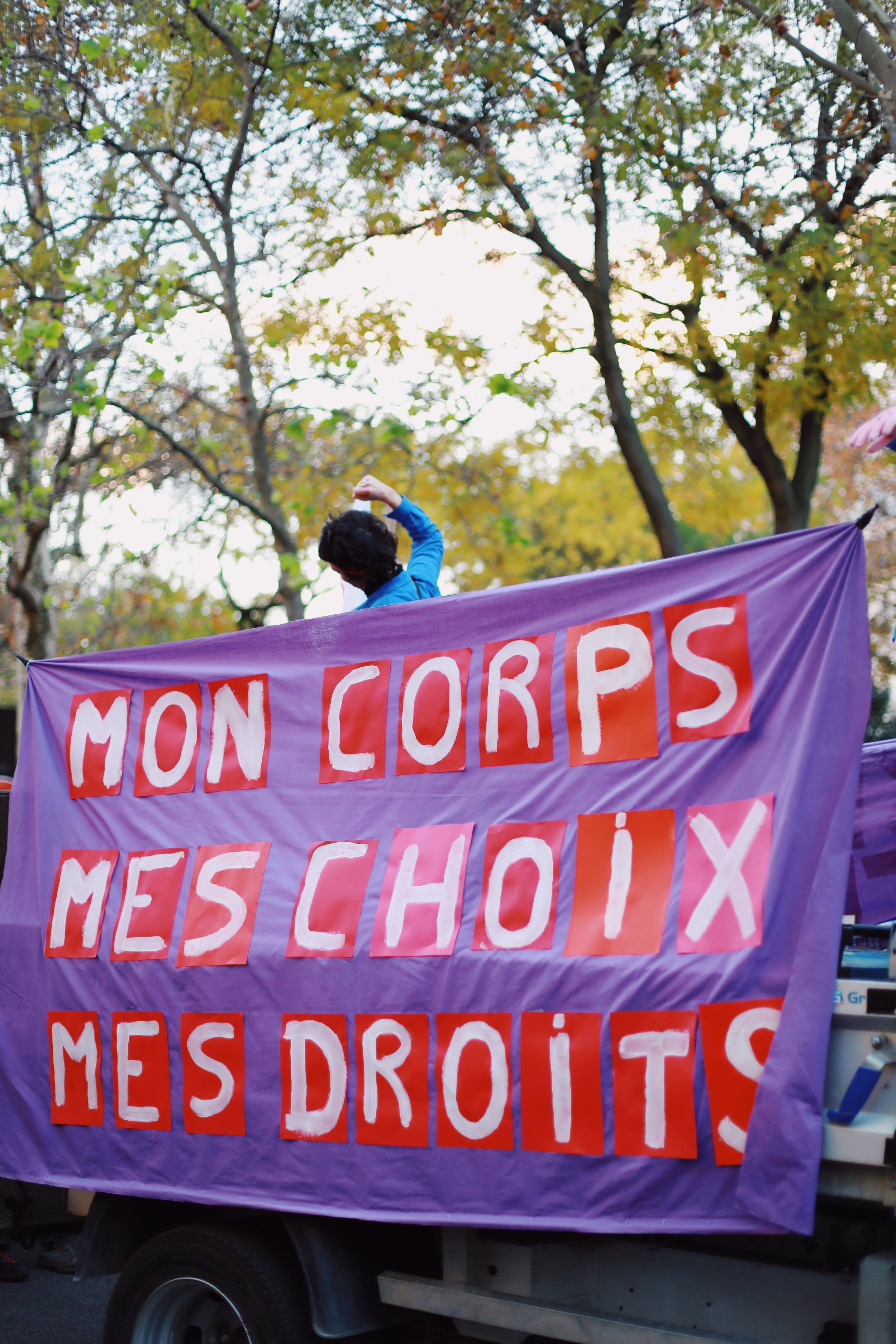 ED123D3B-FCB5-49EF-88EC-6B62E76B5A7C.jpg