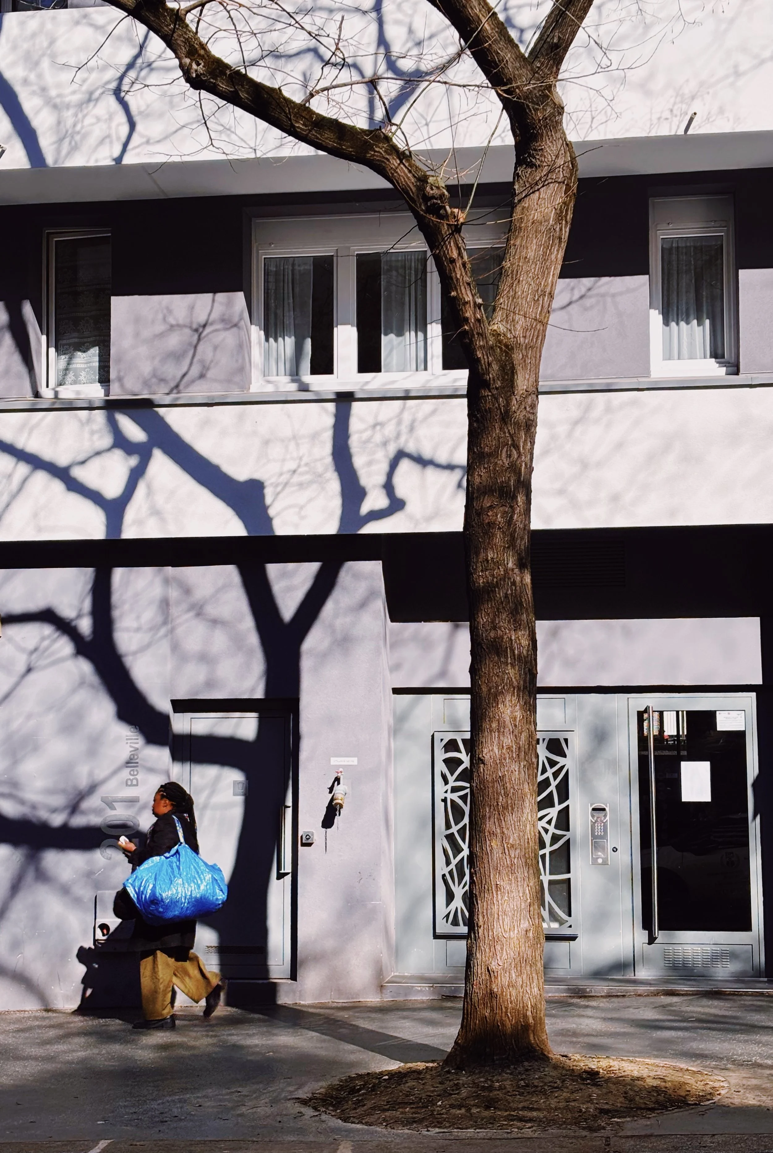 Une rue urbaine avec un arbre dans le trottoir, un bâtiment moderne blanc avec des fenêtres et une porte decorative, et une personne portant un manteau noir et un sac bleu marchant. La scène est en plein jour avec des ombres de branches d'arbre sur l