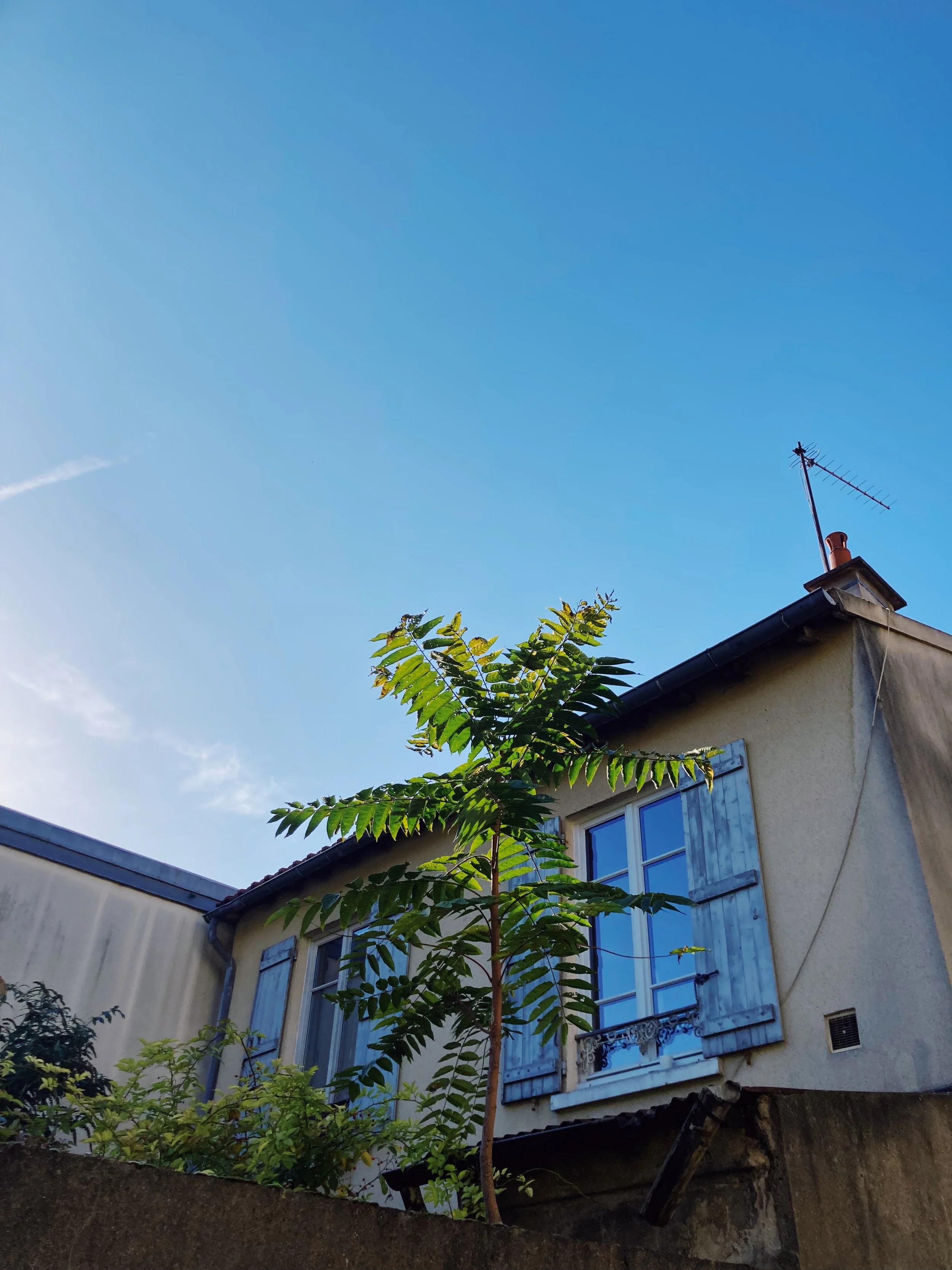 IMG_0689.jpg