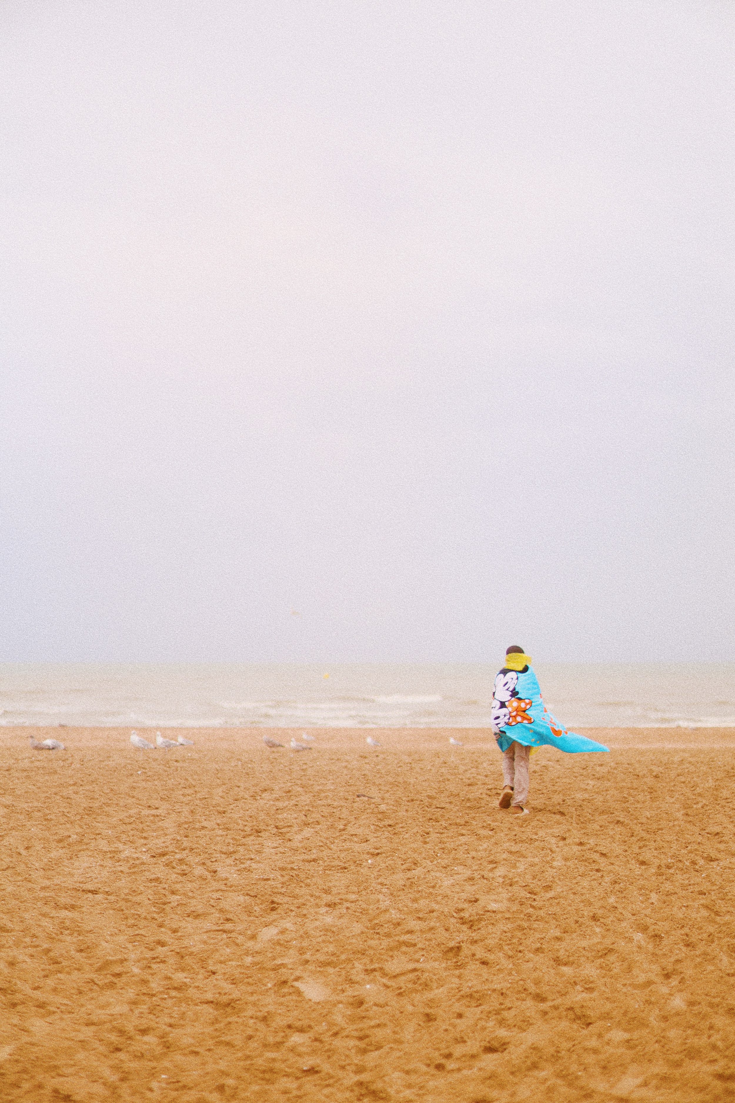VQ8A9117_VSCO.JPG