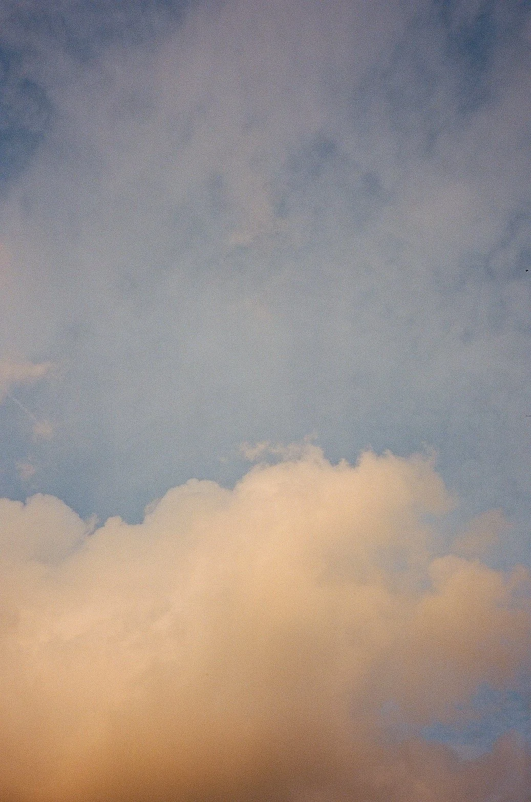 000028320003.jpg